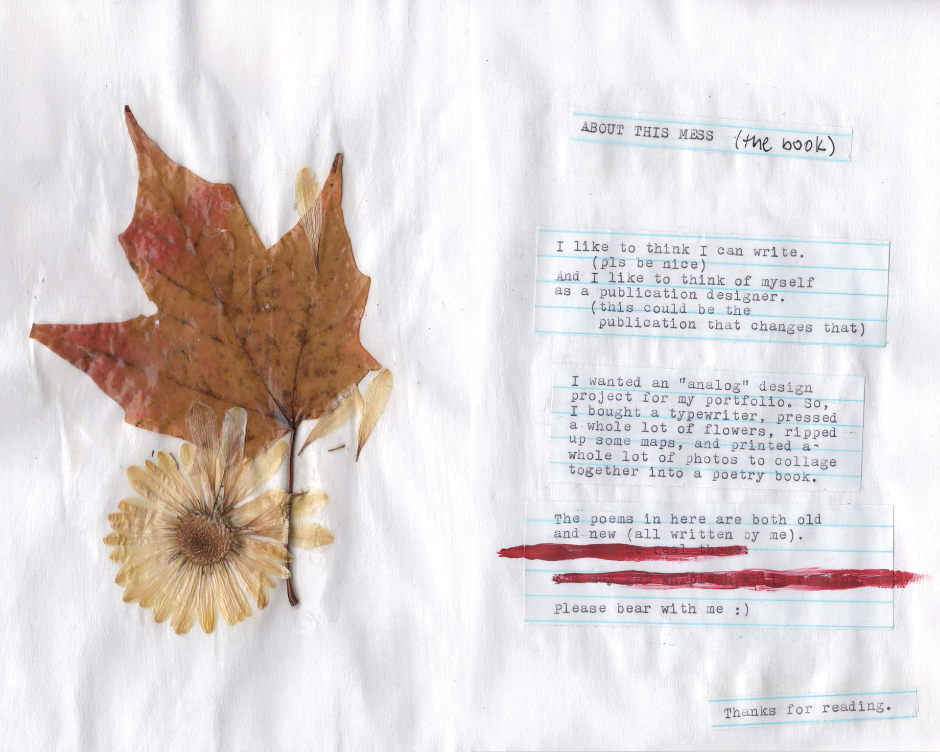 Scan of the about the book.