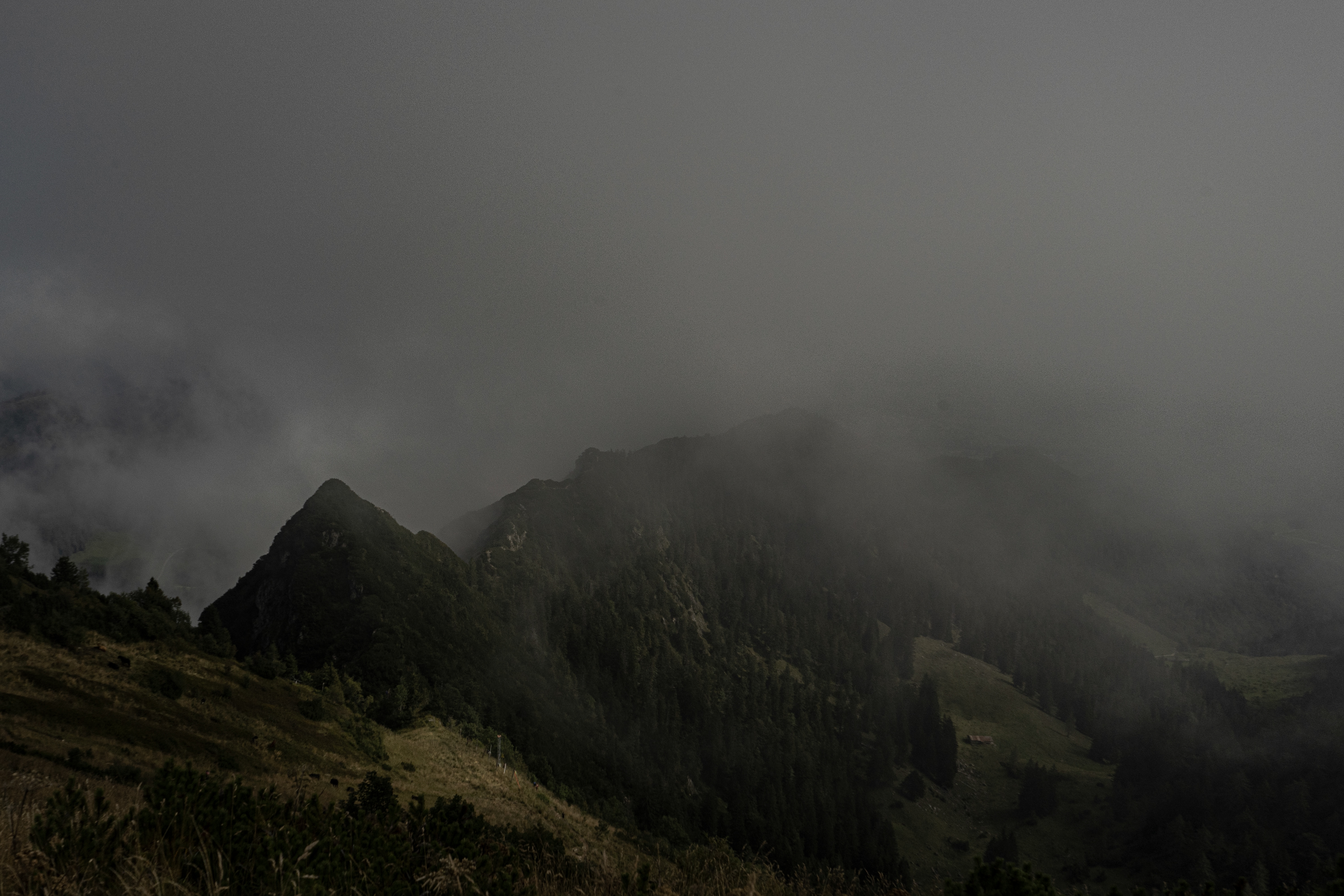 Foggy allgaeu
