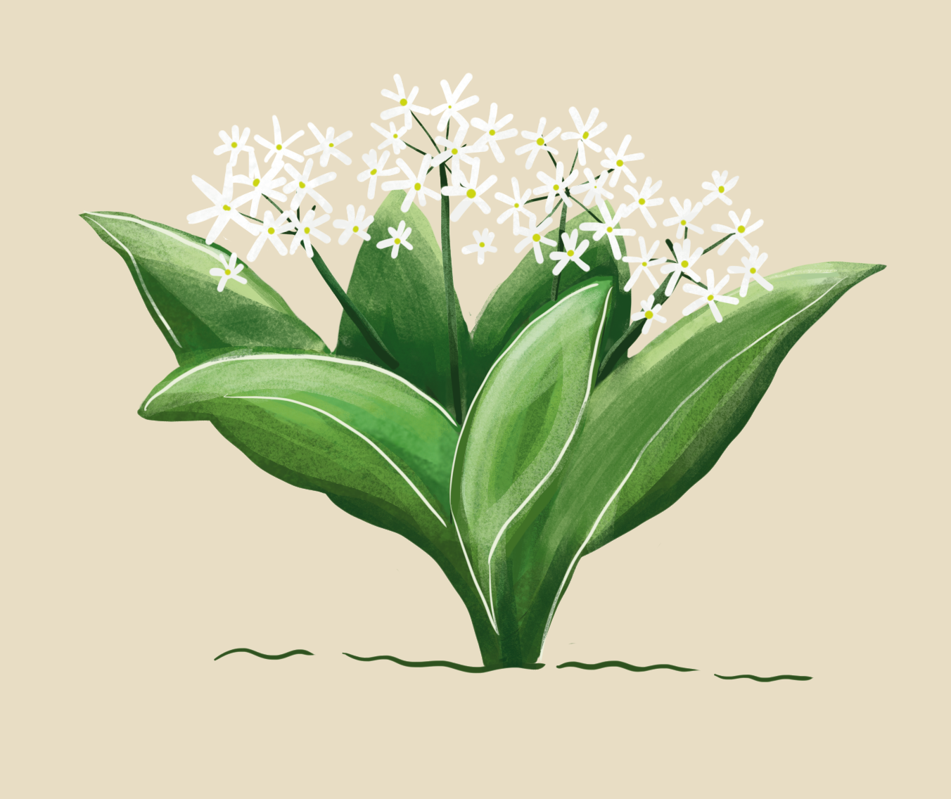 "Bruno & Mara" ilustracje Kama Towcik