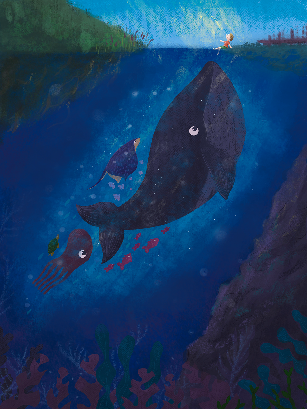 Kama Towcik ilustracje