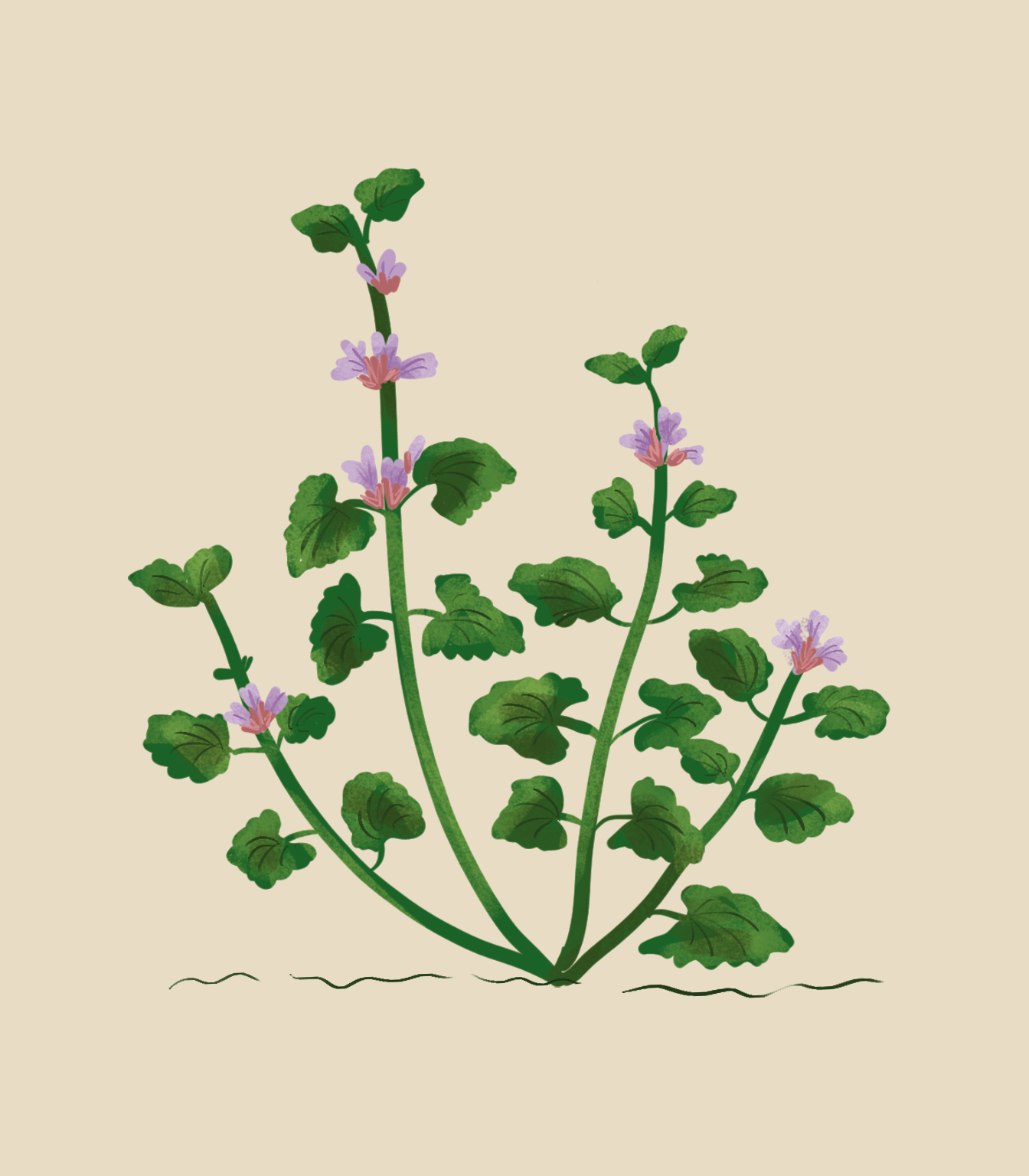 "Bruno & Mara" ilustracje Kama Towcik