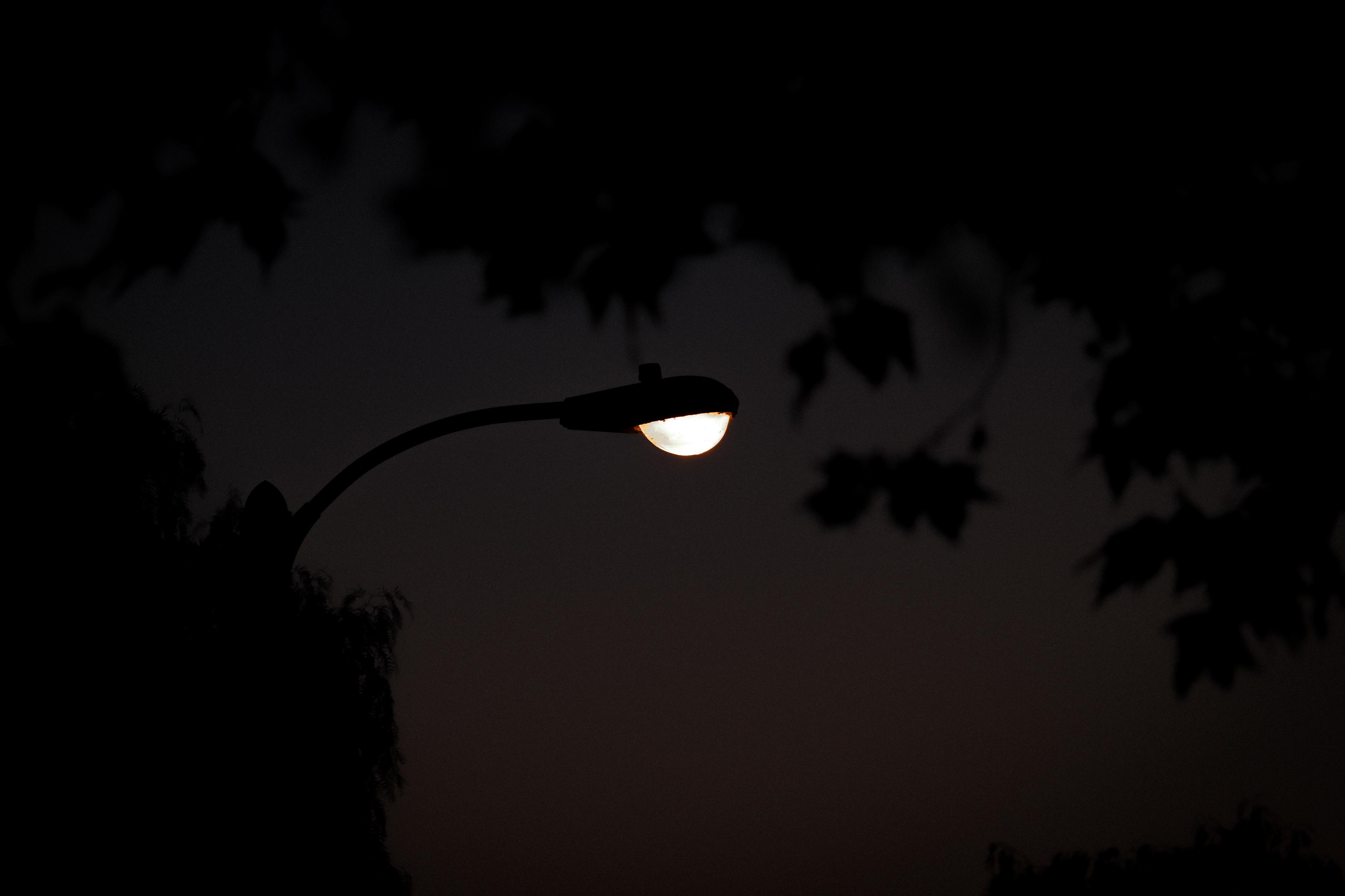 CapturedByKaleb