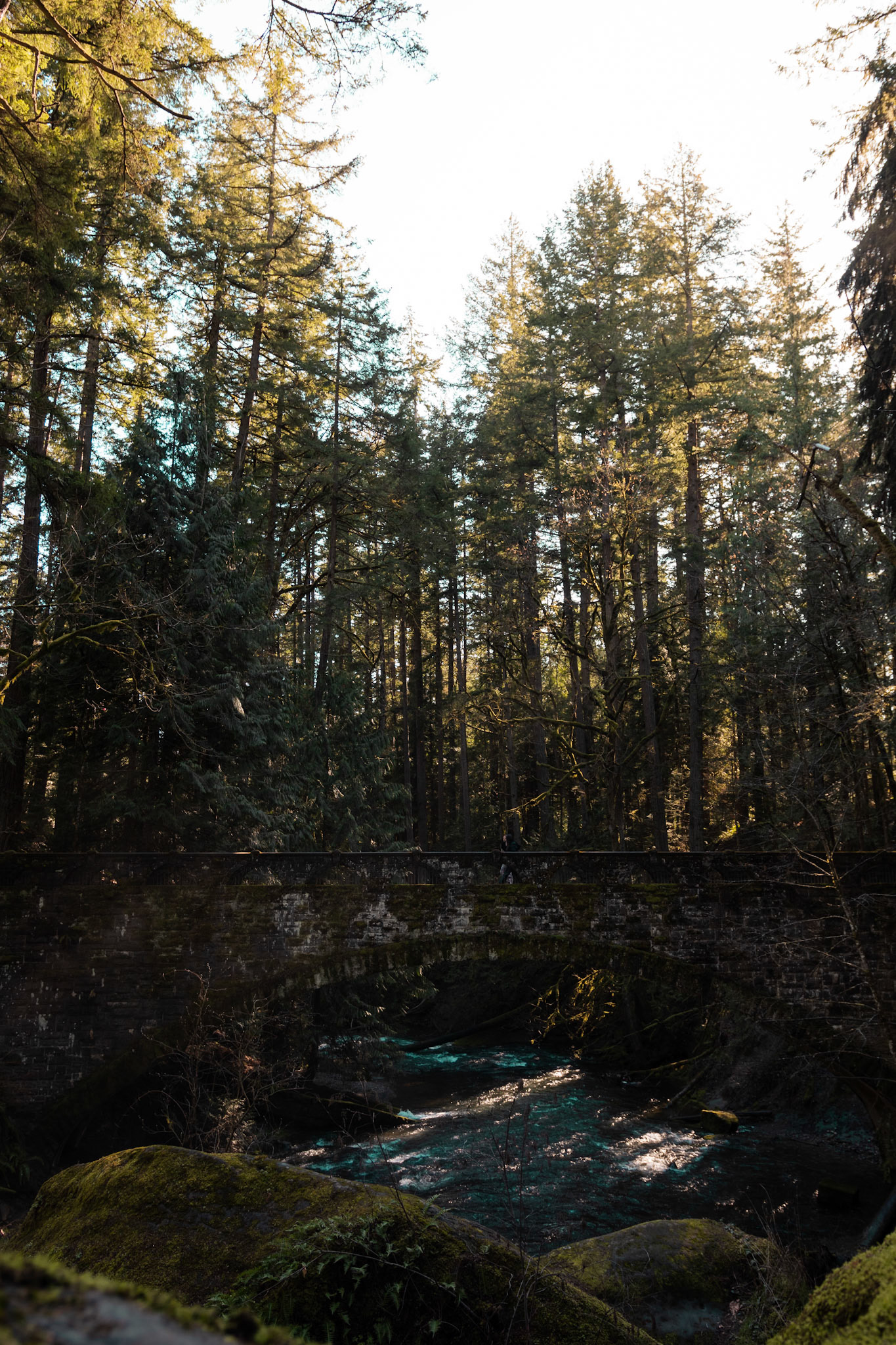CapturedByKaleb