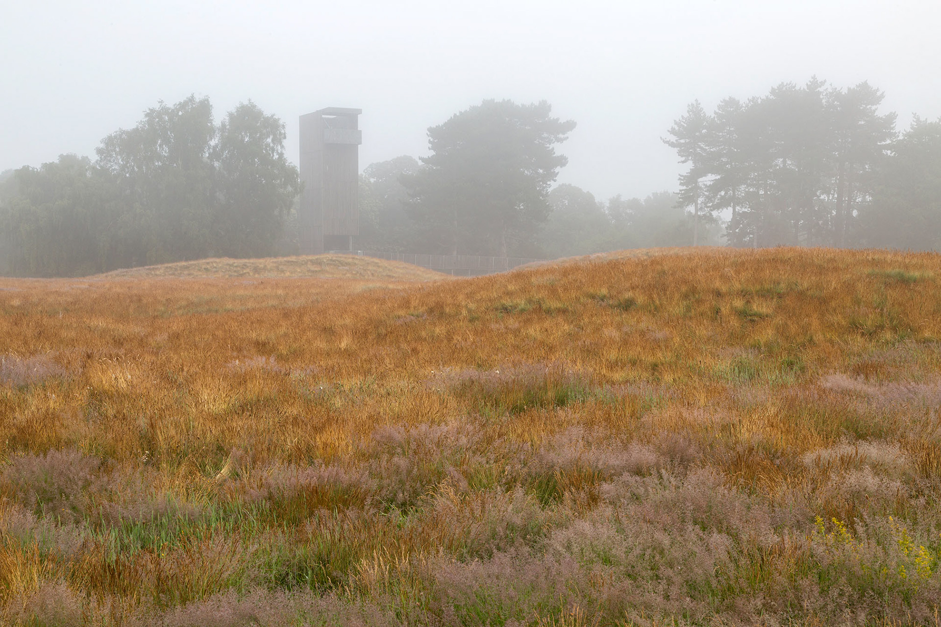 Sutton Hoo Photography Workshop