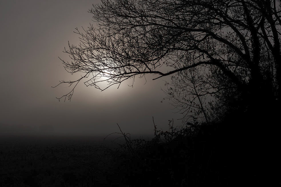 Cavenham Heath, Suffolk