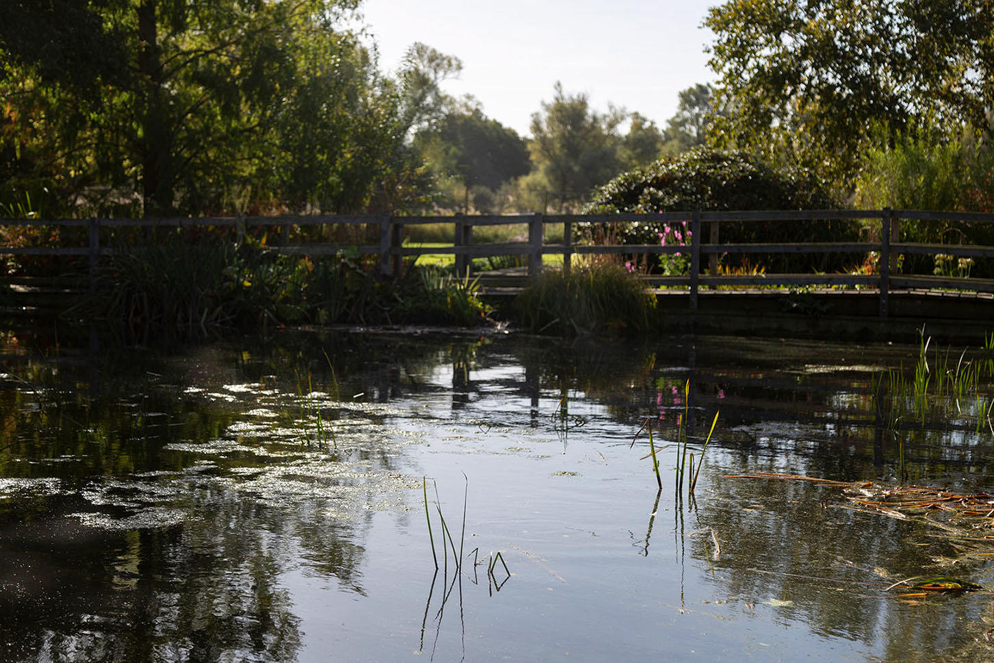 Suffolk Photography Workshop