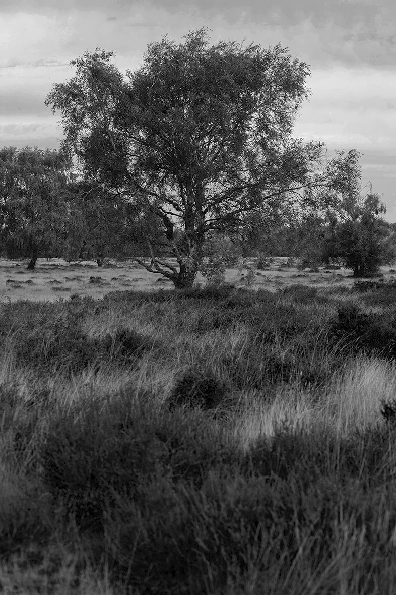 Photography Tuition in Suffolk