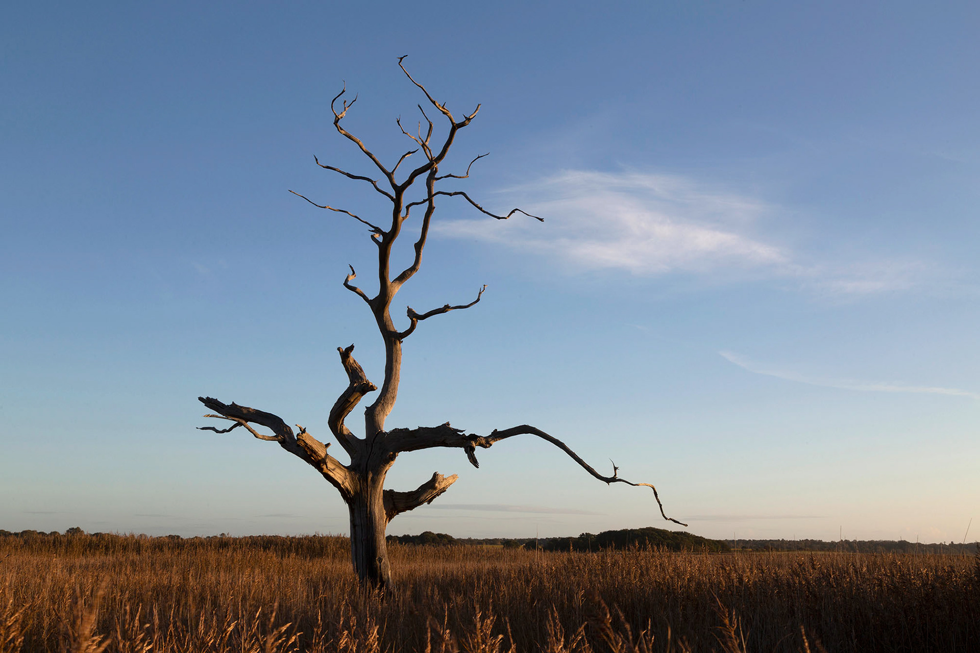 Iken Cliffs, Suffolk