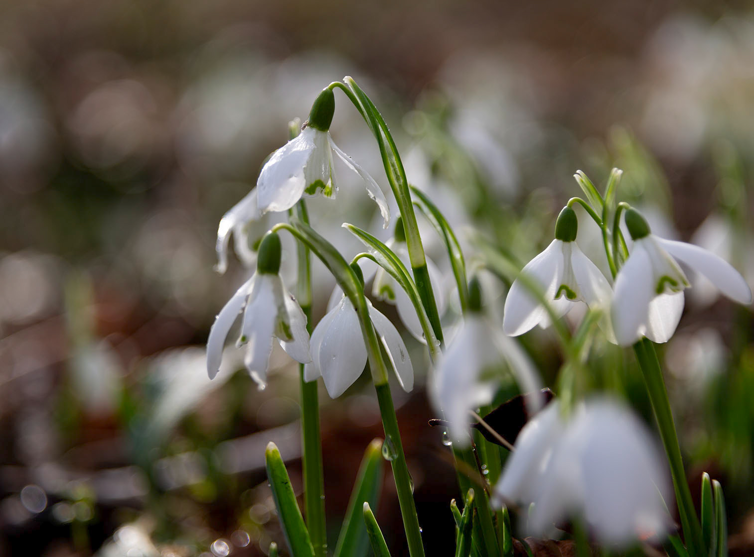 Photography Course in Suffolk