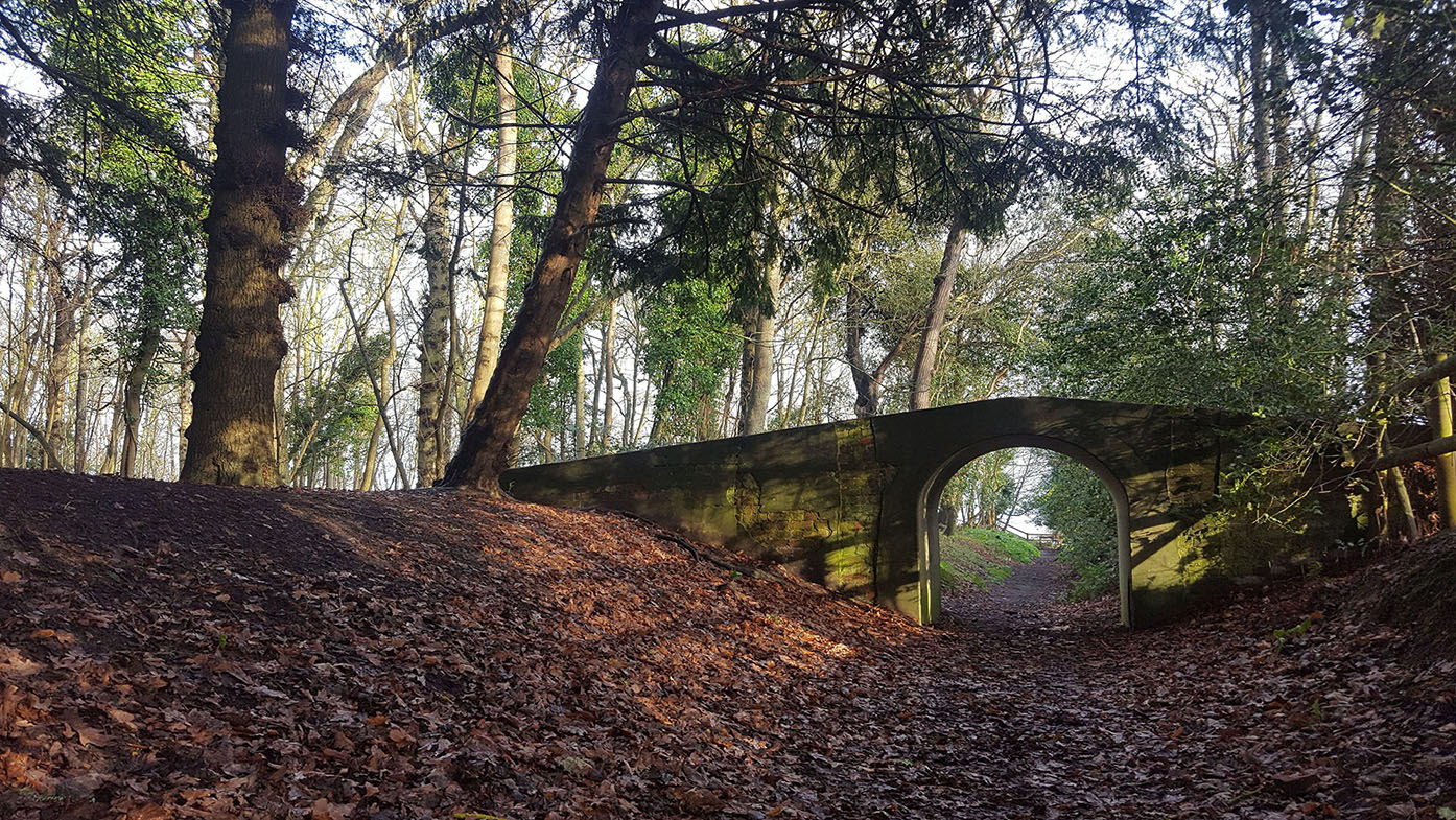 Photo workshop at Dunwich