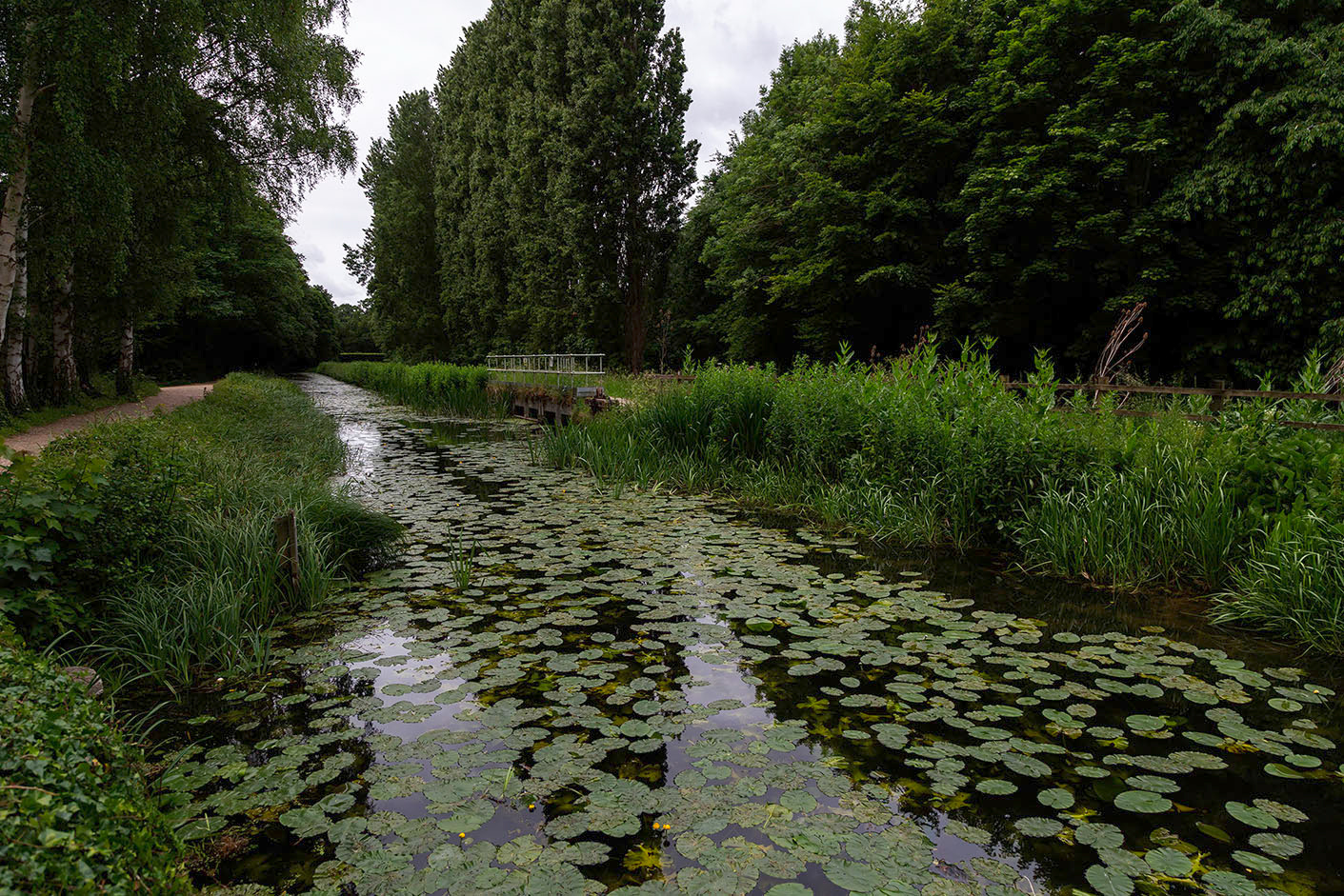 Cambridge Photography Workshop