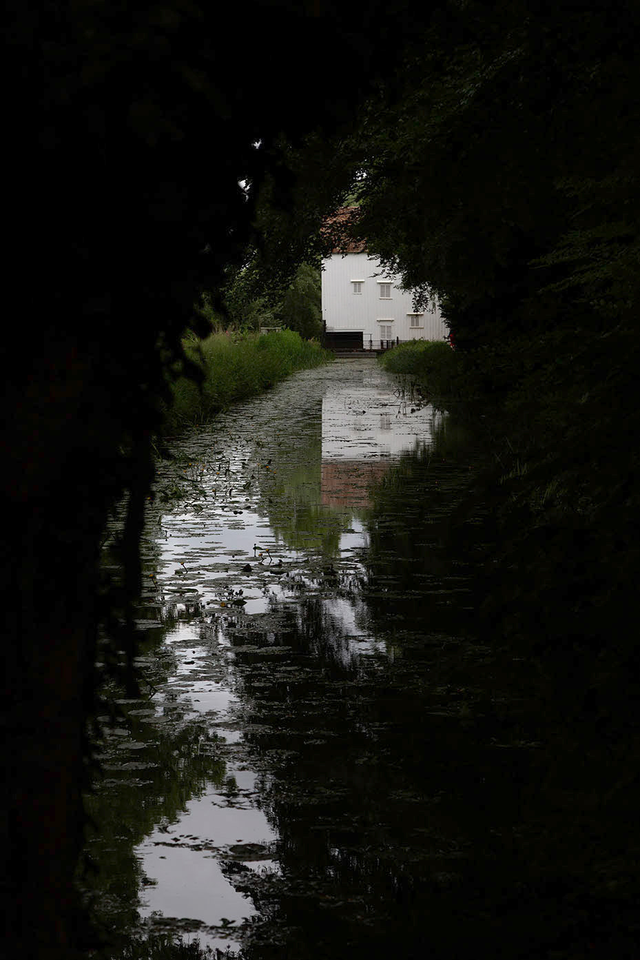 Anglesey Abbey Photography Workshop