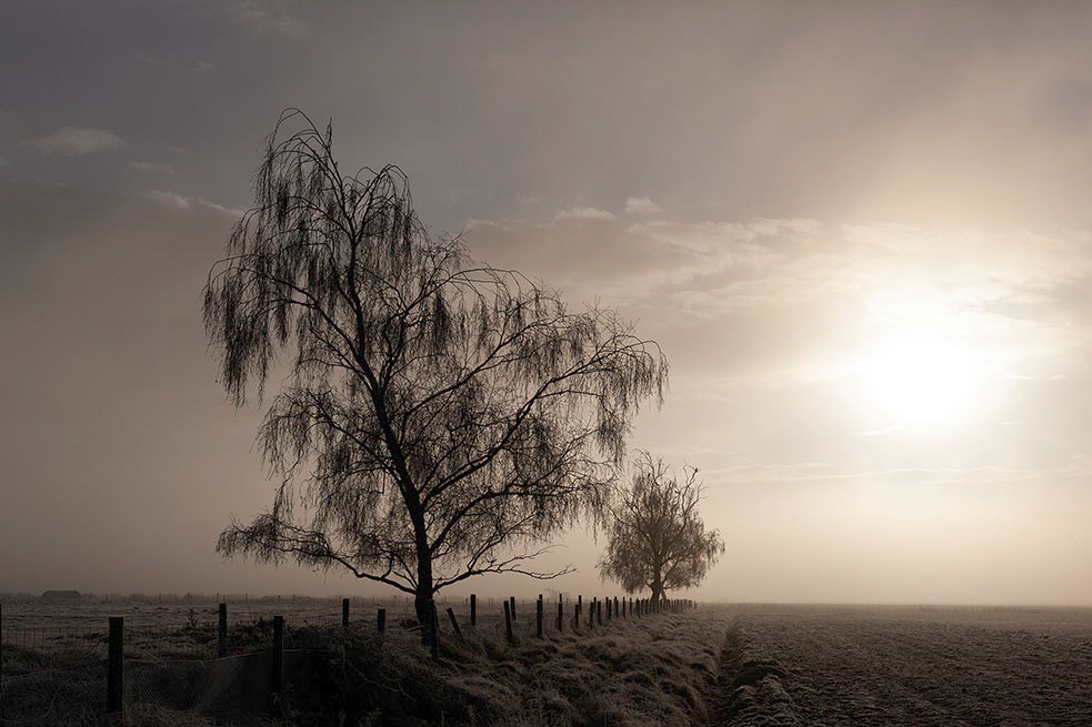 Cavenham Heath, Suffolk