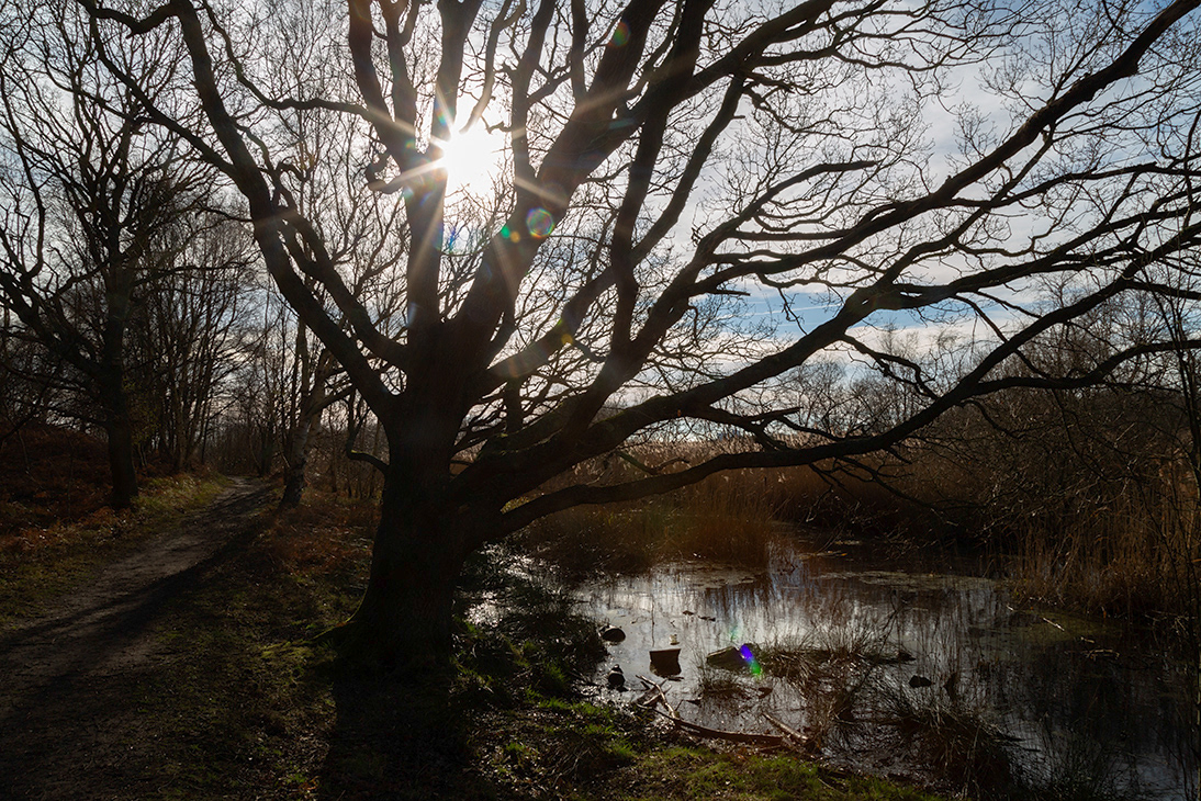 Dunwich Heath, Suffolk photography workshops