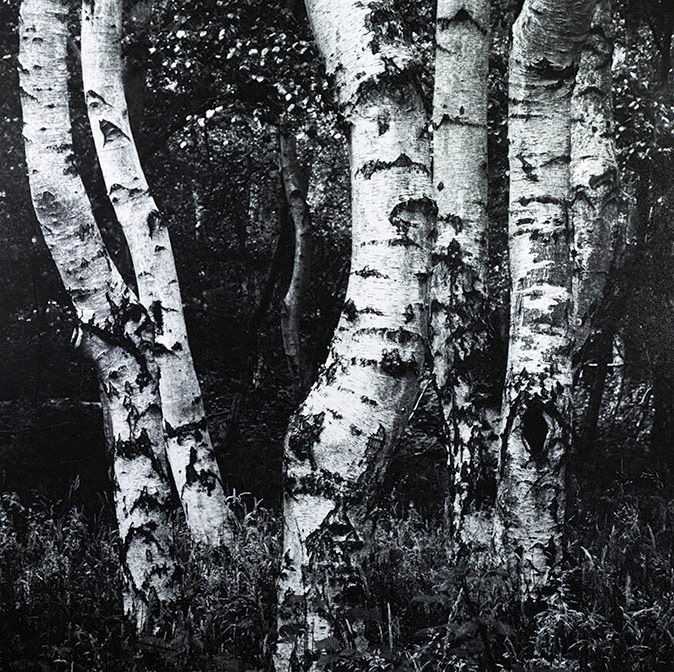 Photo Workshop in Suffolk