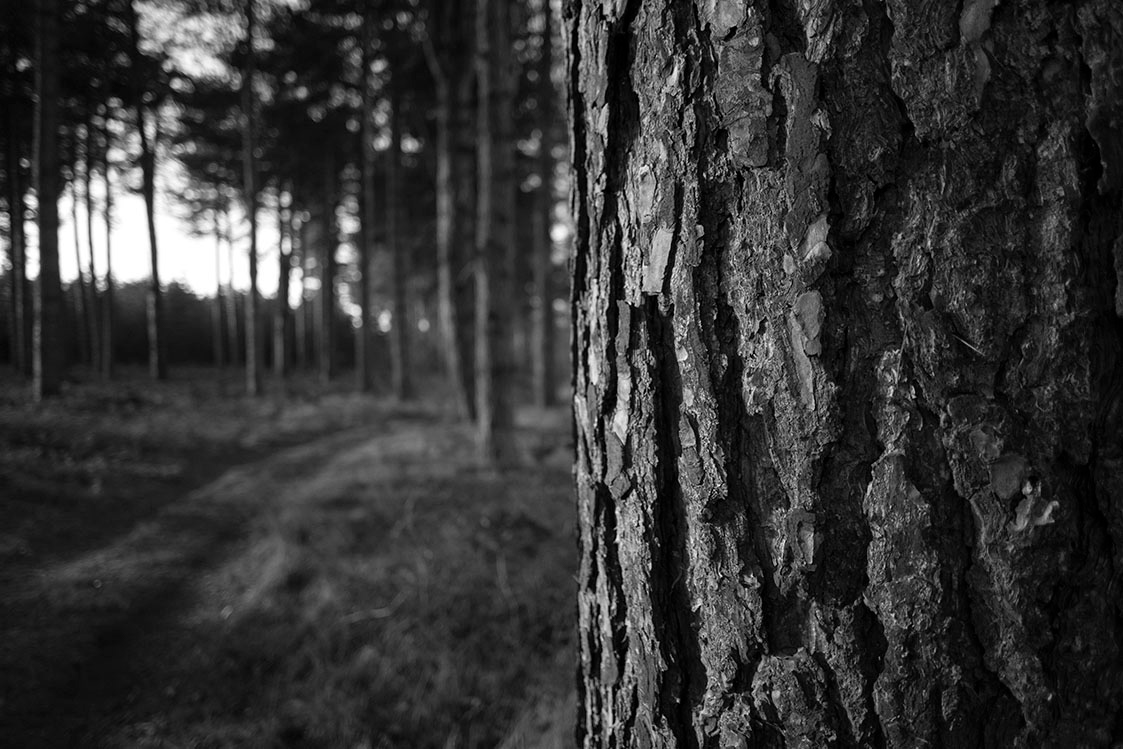 Black and White Photography Workshop