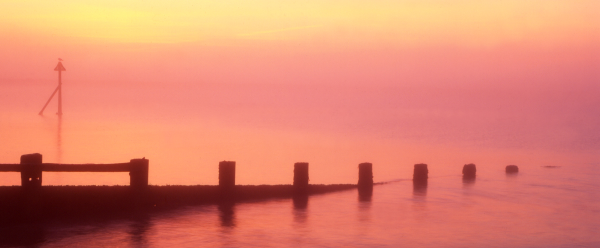 Felixstowe Photography Workshop