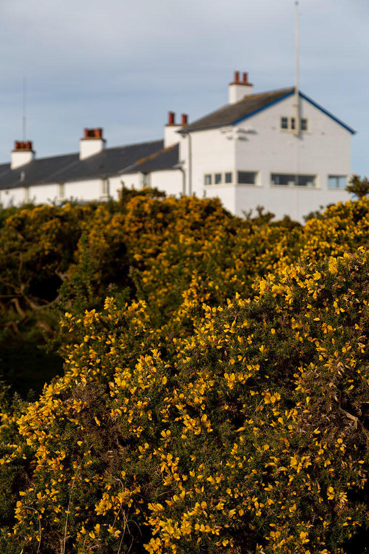 Dunwich Heath Photo Workshops