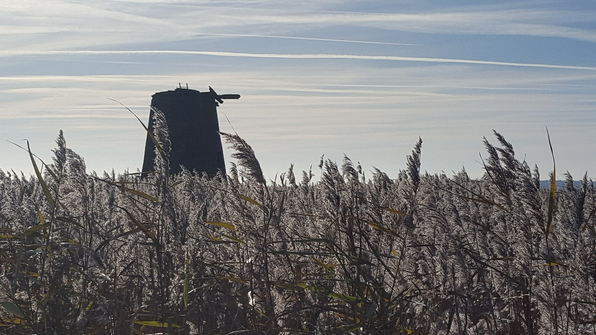 Walberswick, Suffolk