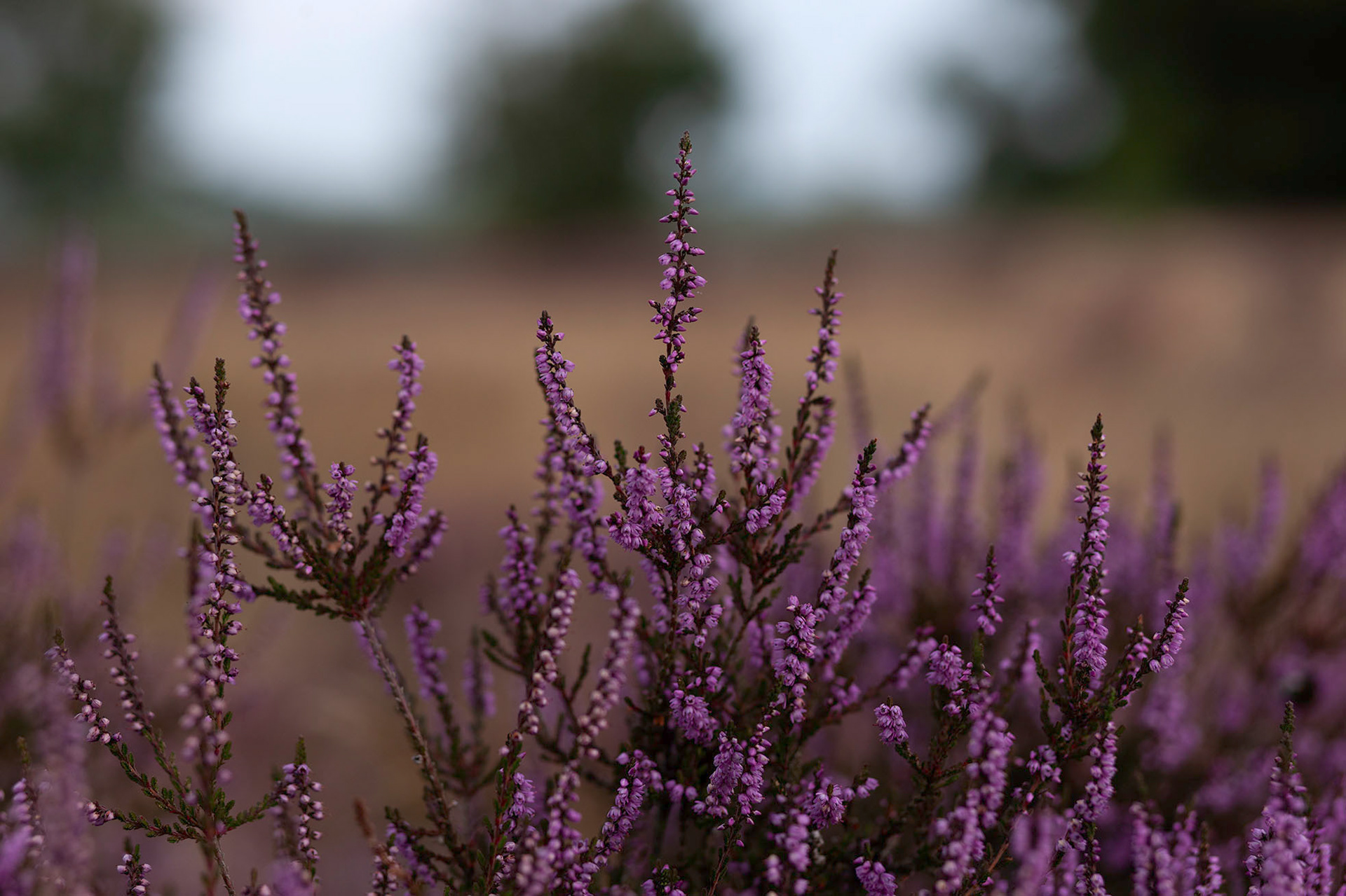 Suffolk Photography Workshop