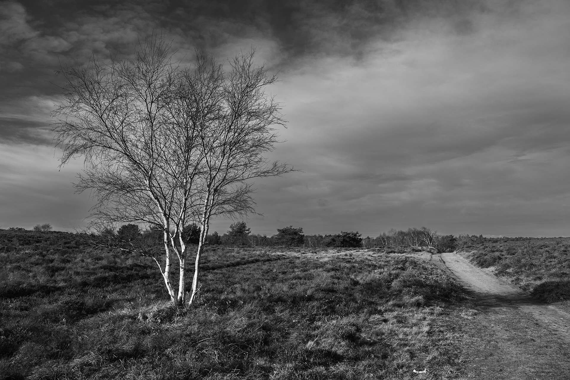 National Trust Dunwich Heath Photography Workshop
