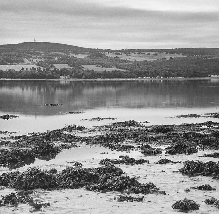 Beauty Firth, Scotland