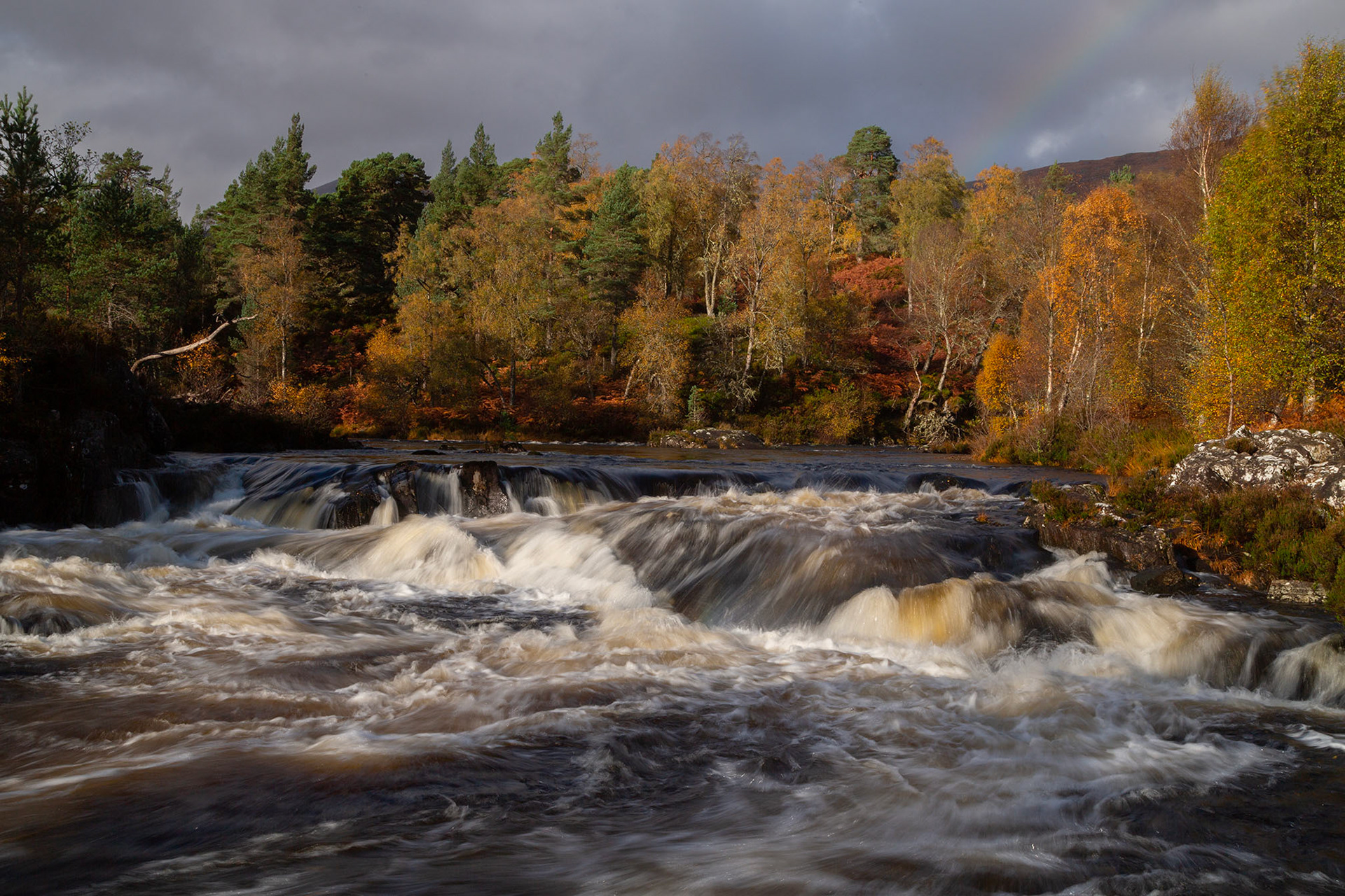 Glen Affric, Scotland