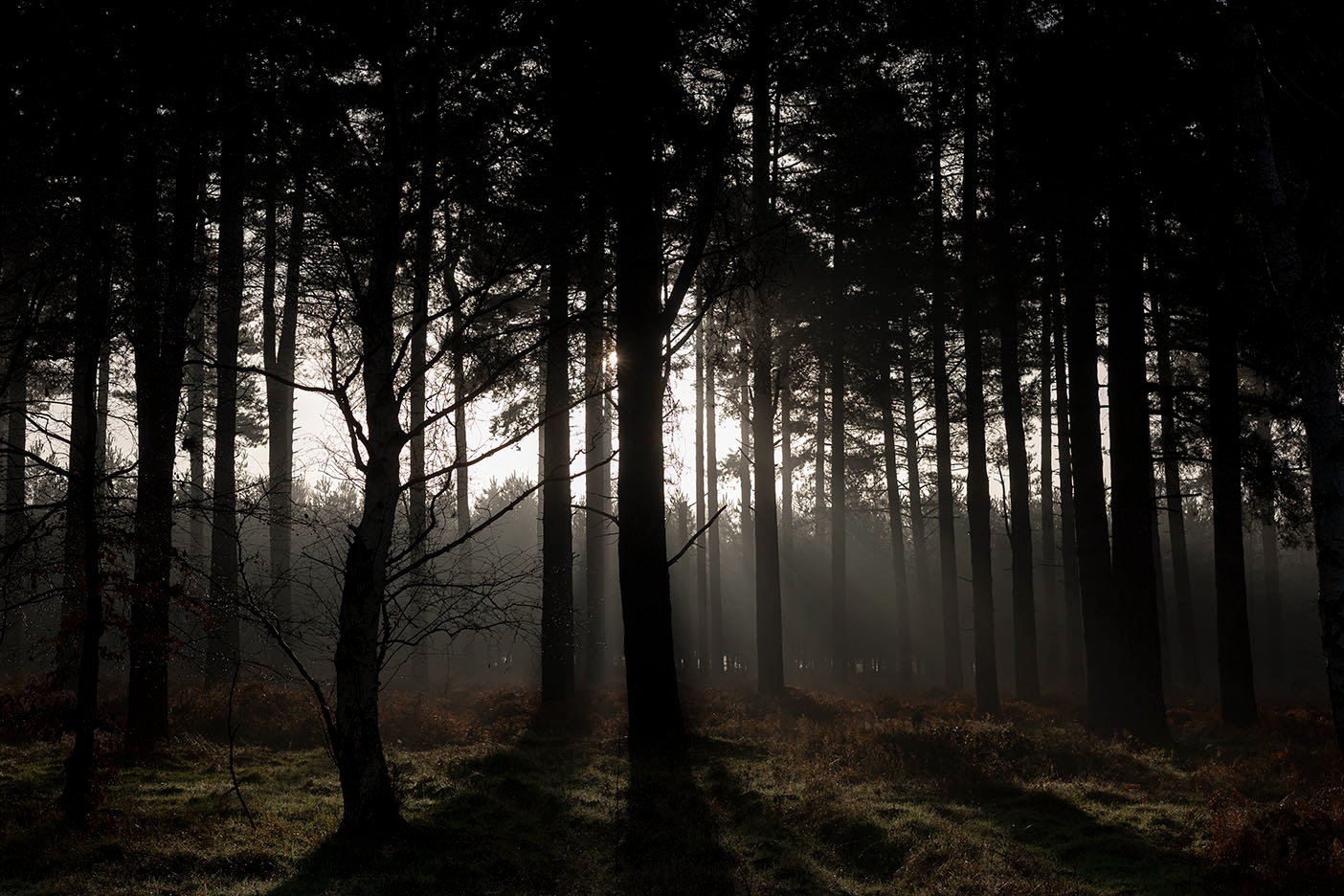 Photo Workshop in Suffolk