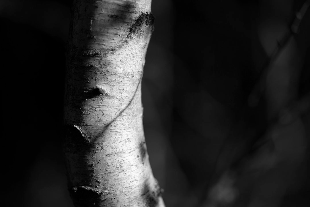 Landscape Photography Workshop