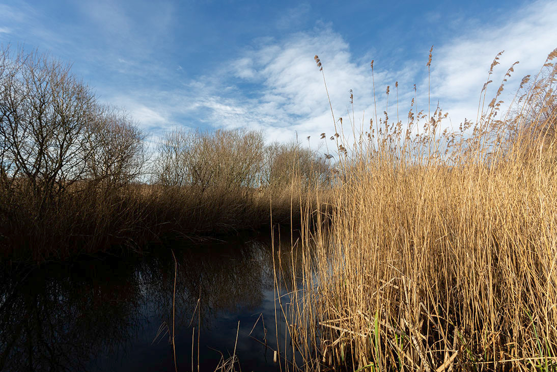 Dunwich Heath Photo Courses