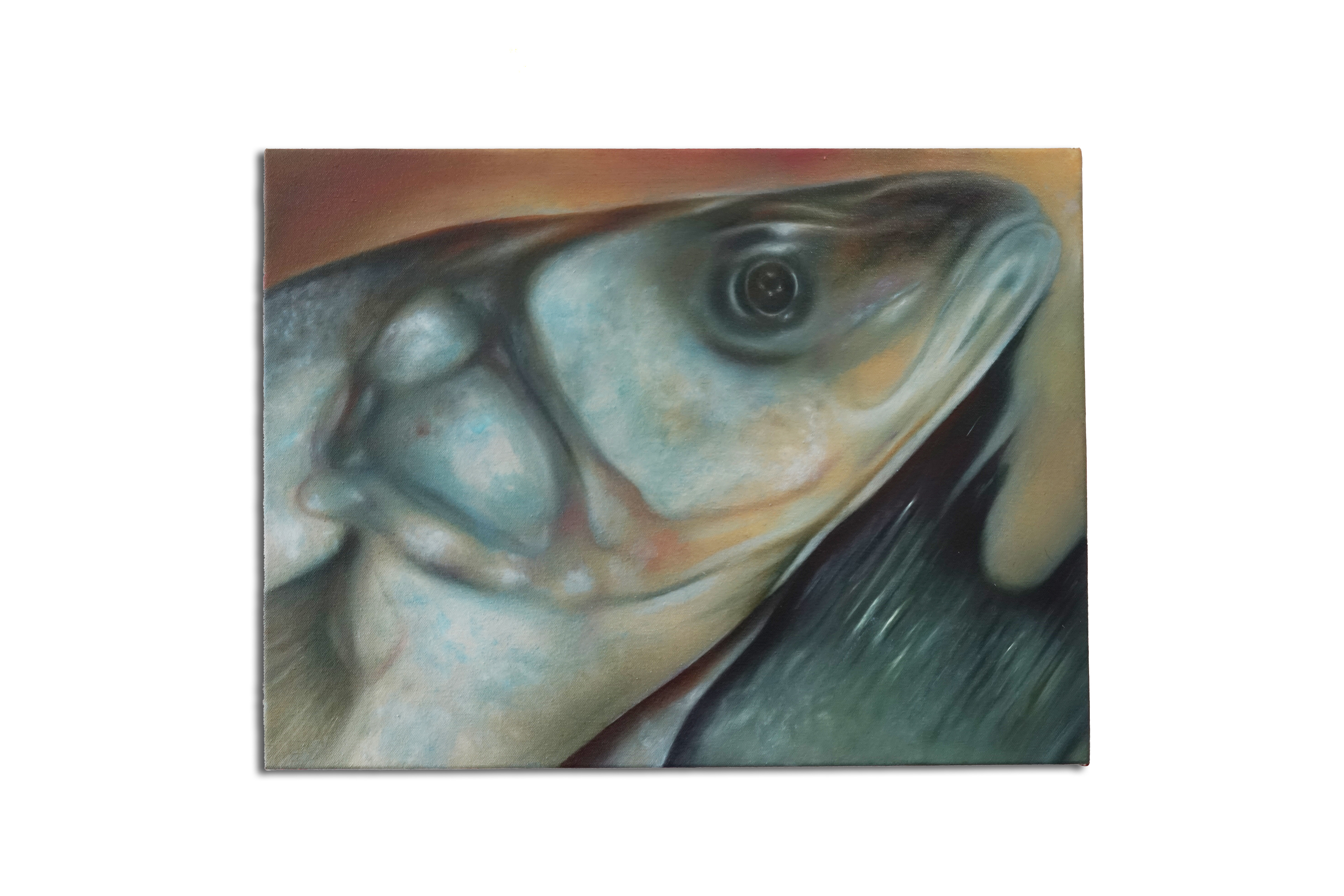 Fish Head, Scarlett Budden Oil on canvas, 30 x 40 cm, 2025