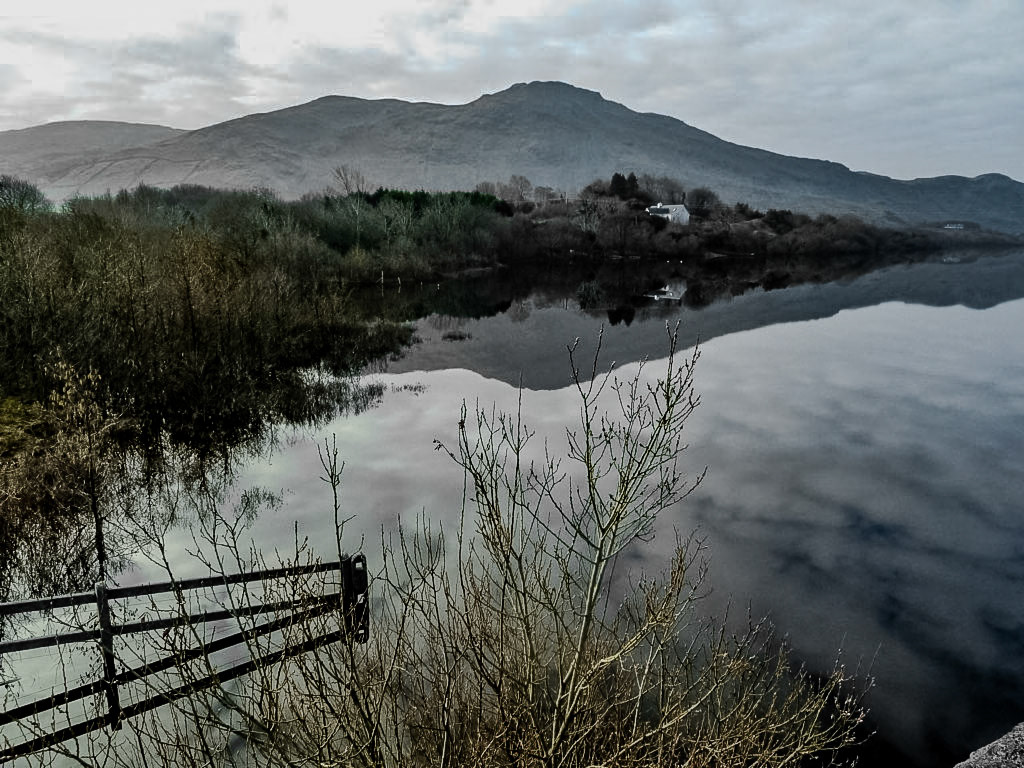 _2011-03-05__Panasonic__DMC-TZ10__ __f/4__1/250 sec__R300__County Mayo__Ireland__53°34'0.9696" N 9°24'47.1492" W