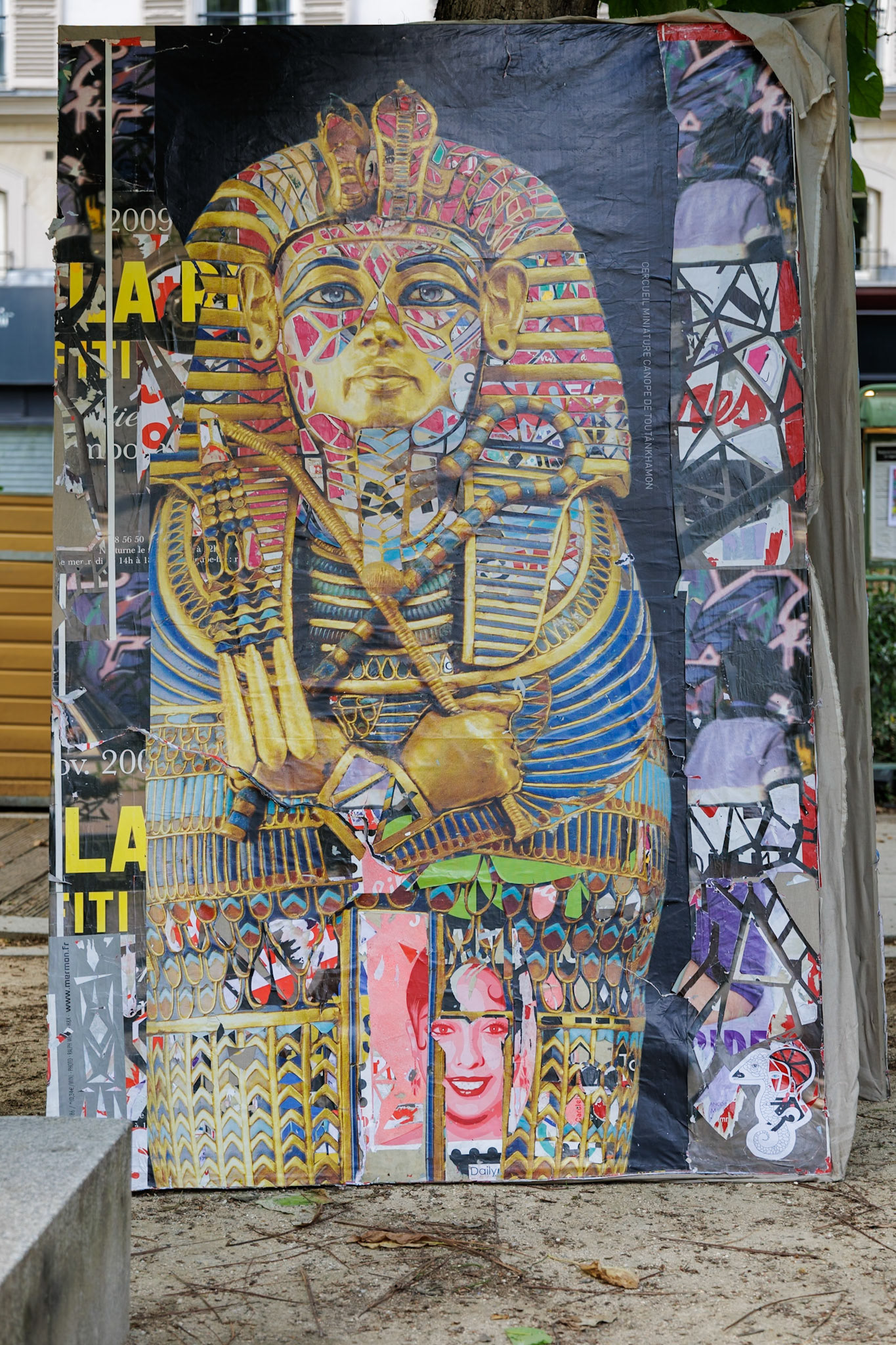 2025-06-28 11:24:29_RF28-70mm F2.8 IS STM_f/4_1/160 sec____