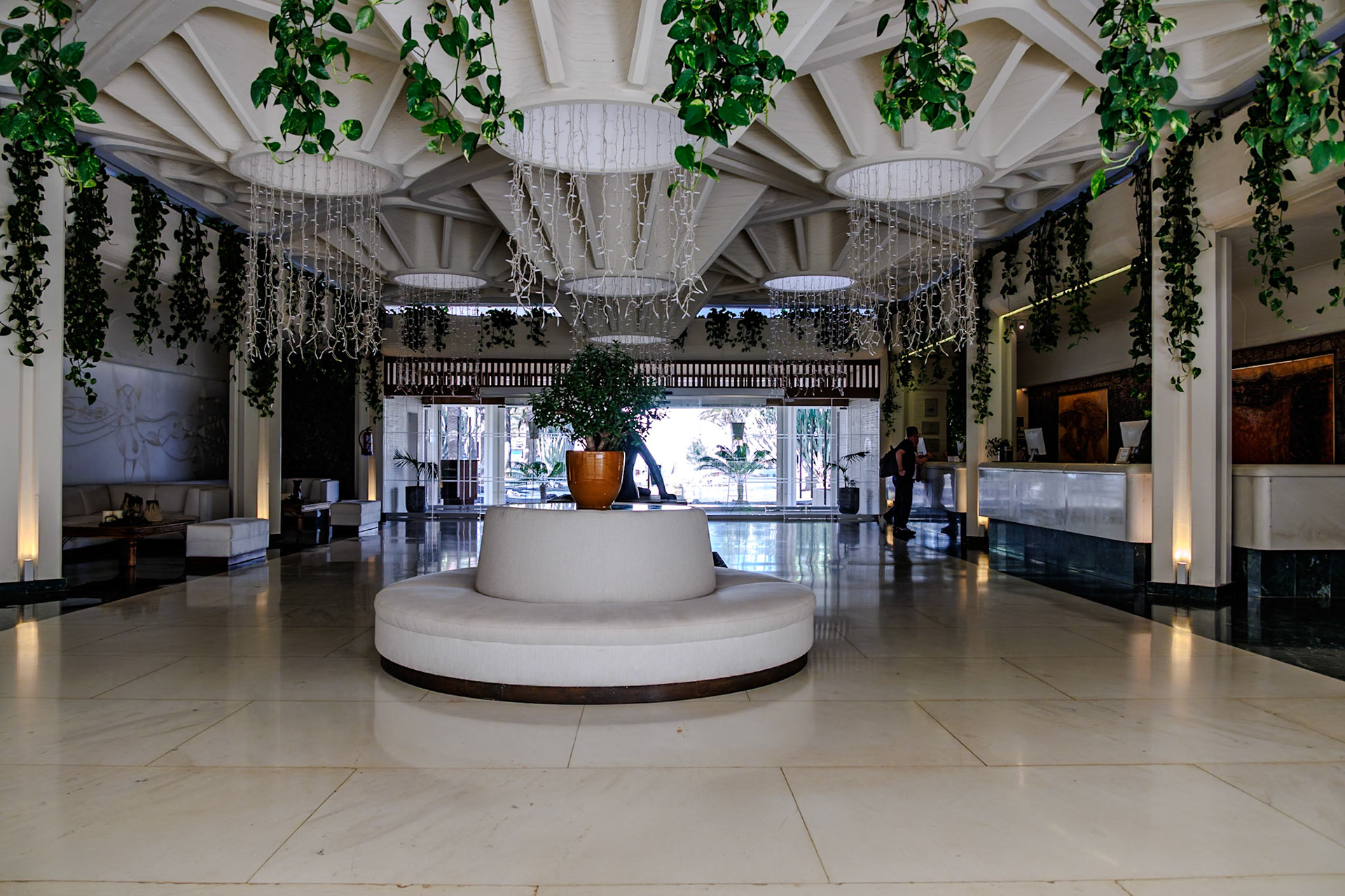 2024-12-01__Canon EOS R3__ RF24-240mm F4-6.3 IS USM__f/5__1/20 sec_________