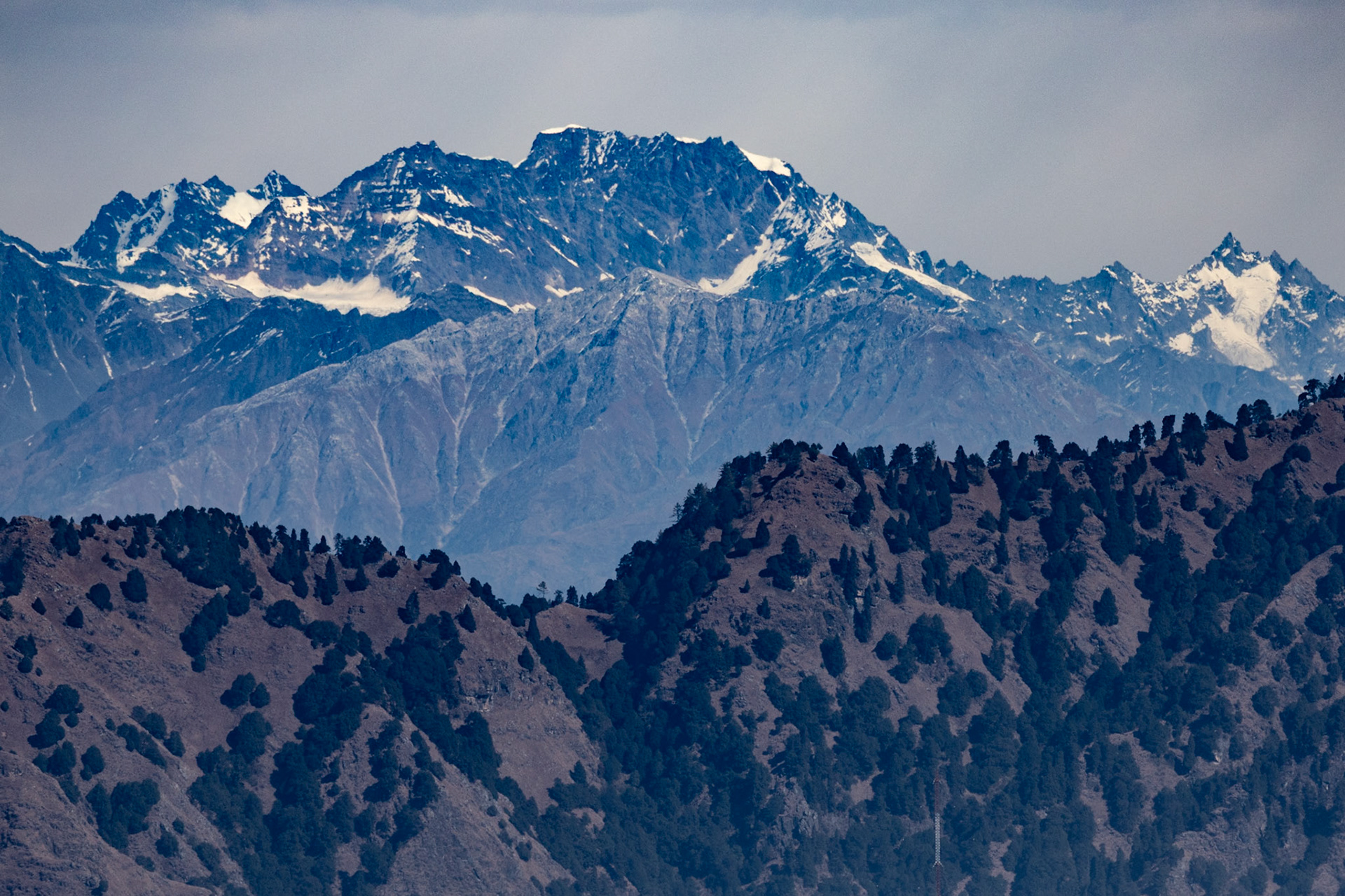 __2025-12-07__Canon__Canon EOS R3__ RF100-500mm F4.5-7.1 L IS USM__f/7.1__1/1600 sec__Vice Regal Road__Shimla__India__31°6'15.03" N 77°8'29.3352" E