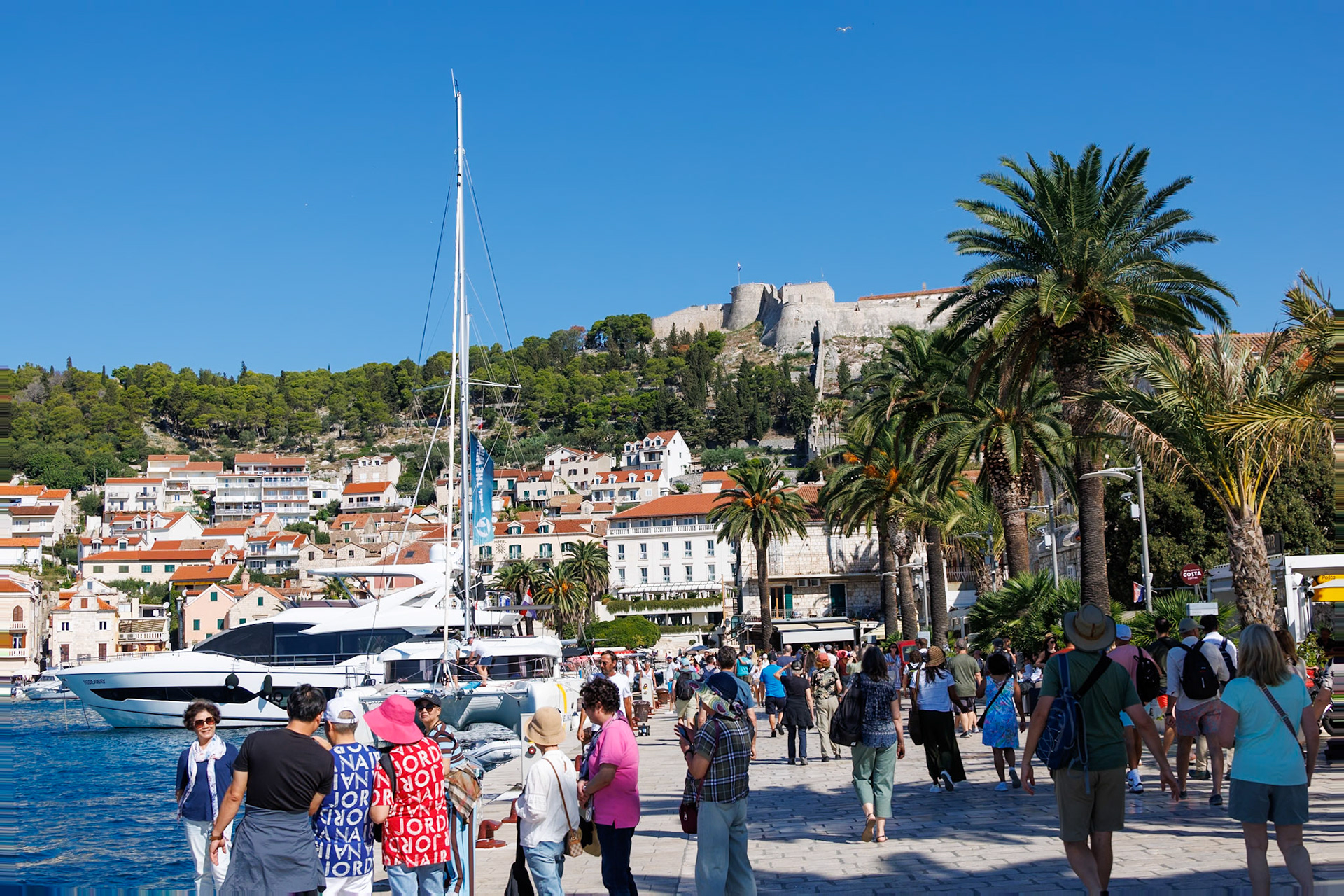 2024-09-23 10:07:08RF24-240mm F4-6.3 IS USMf/91/200 sec43°10'14.1888" N 16°26'28.4892" E