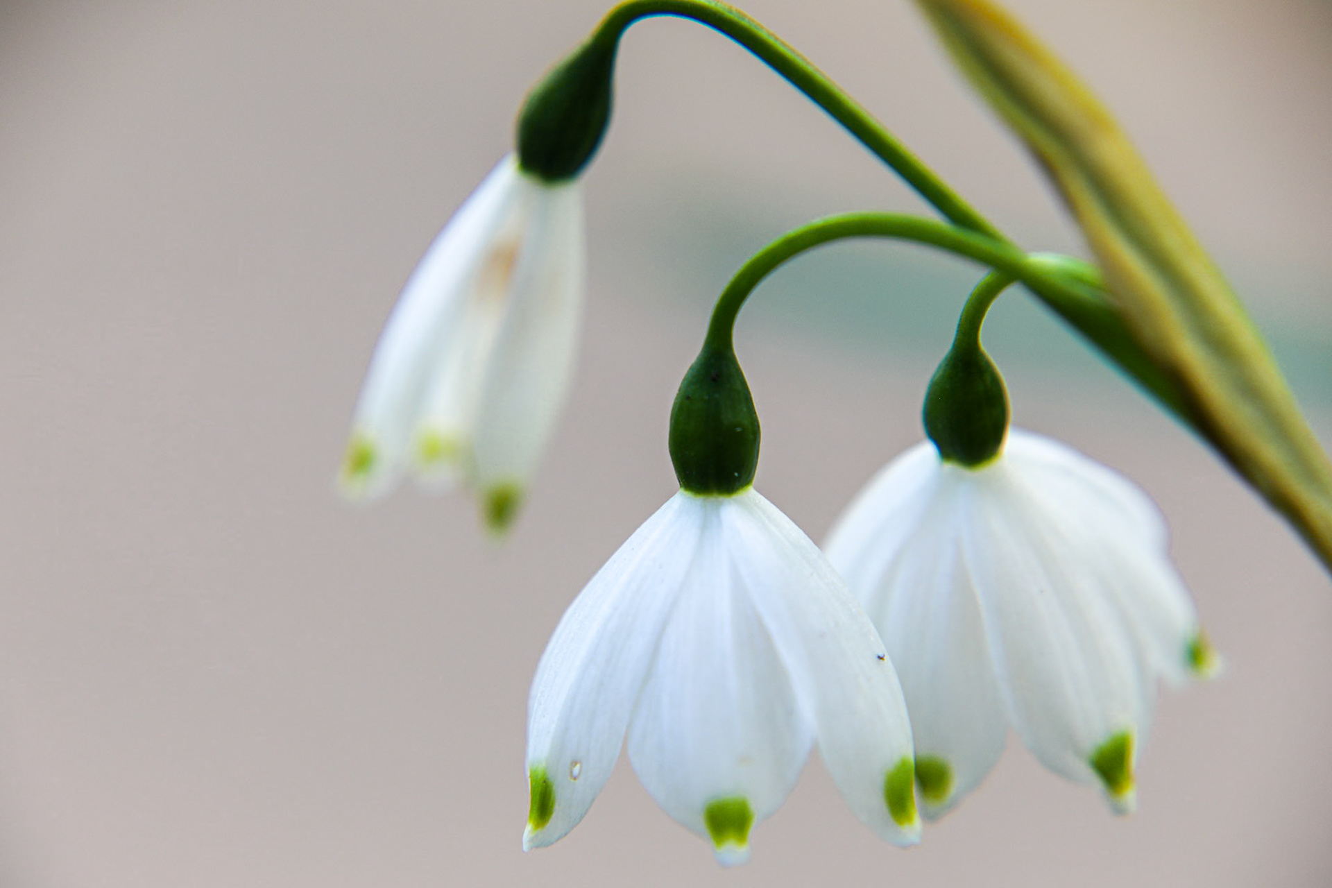 _2023-04-19__Canon__Canon EOS 5D Mark IV__ TAMRON 28-300mm F/3.5-6.3 Di VC PZD A010__f/5.6__1/100 sec________