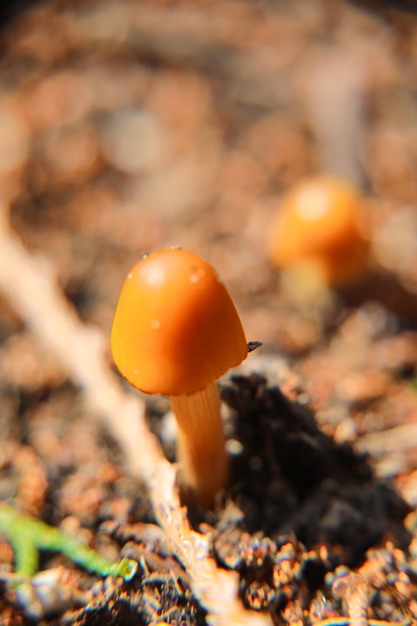 2023-04-19 15:07:23_TAMRON 28-300mm F/3.5-6.3 Di VC PZD A010_f/6.3_1/320 sec______