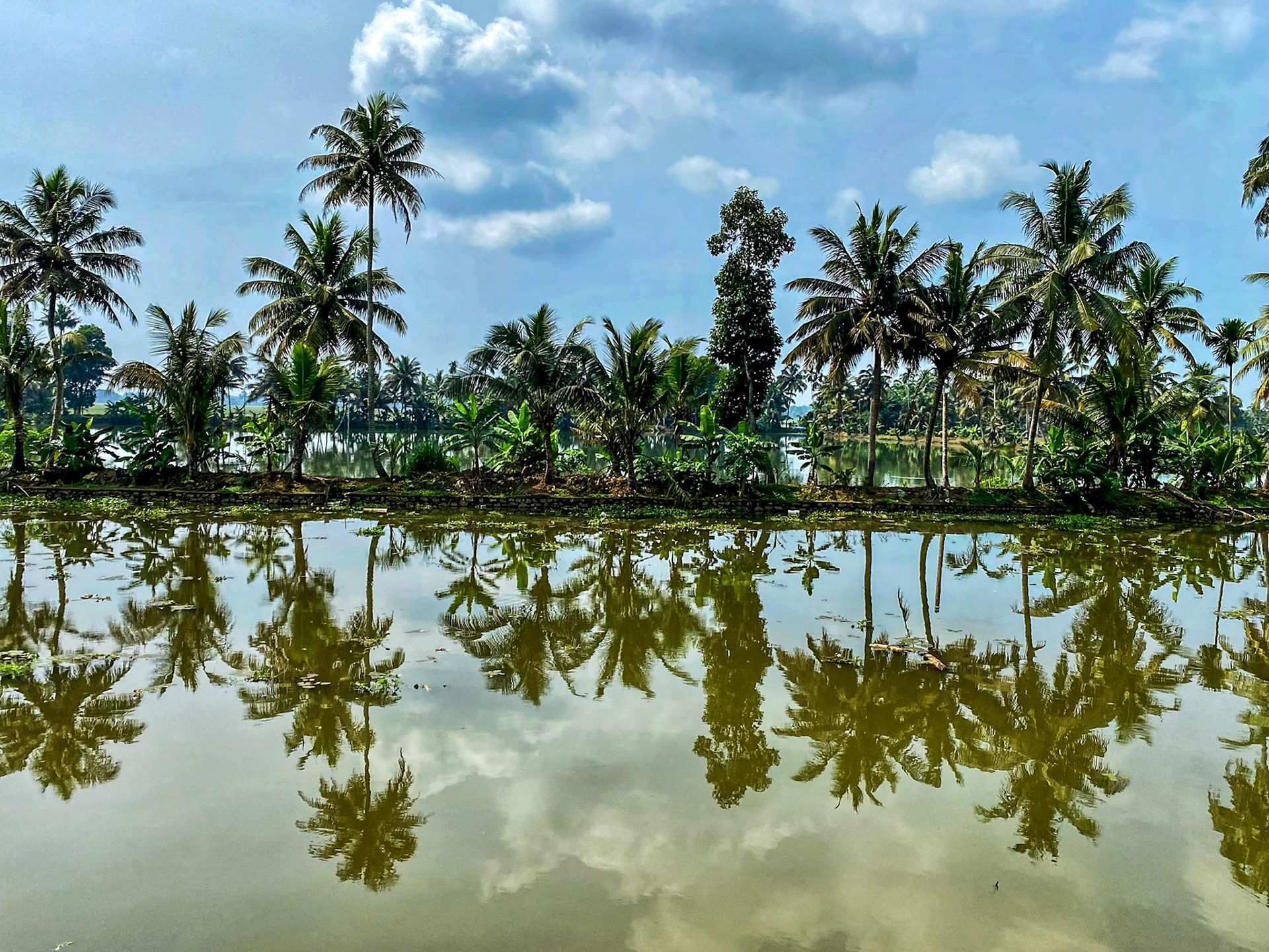 2022-11-03 10:30:47_iPhone 11 Pro back triple camera 4.25mm f/1.8_f/1.8_1/5000 sec____Alleppey &amp; Kerala Backwaters_India_