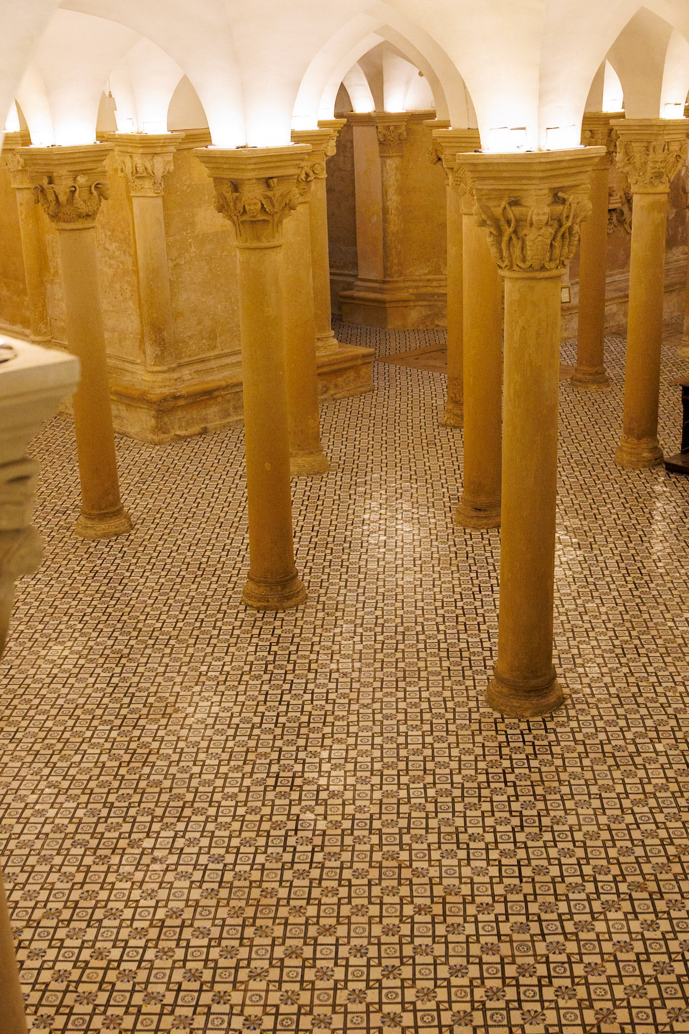 _2024-09-11__Canon__Canon EOS R3__ RF24-240mm F4-6.3 IS USM__f/4.5__1/60 sec________