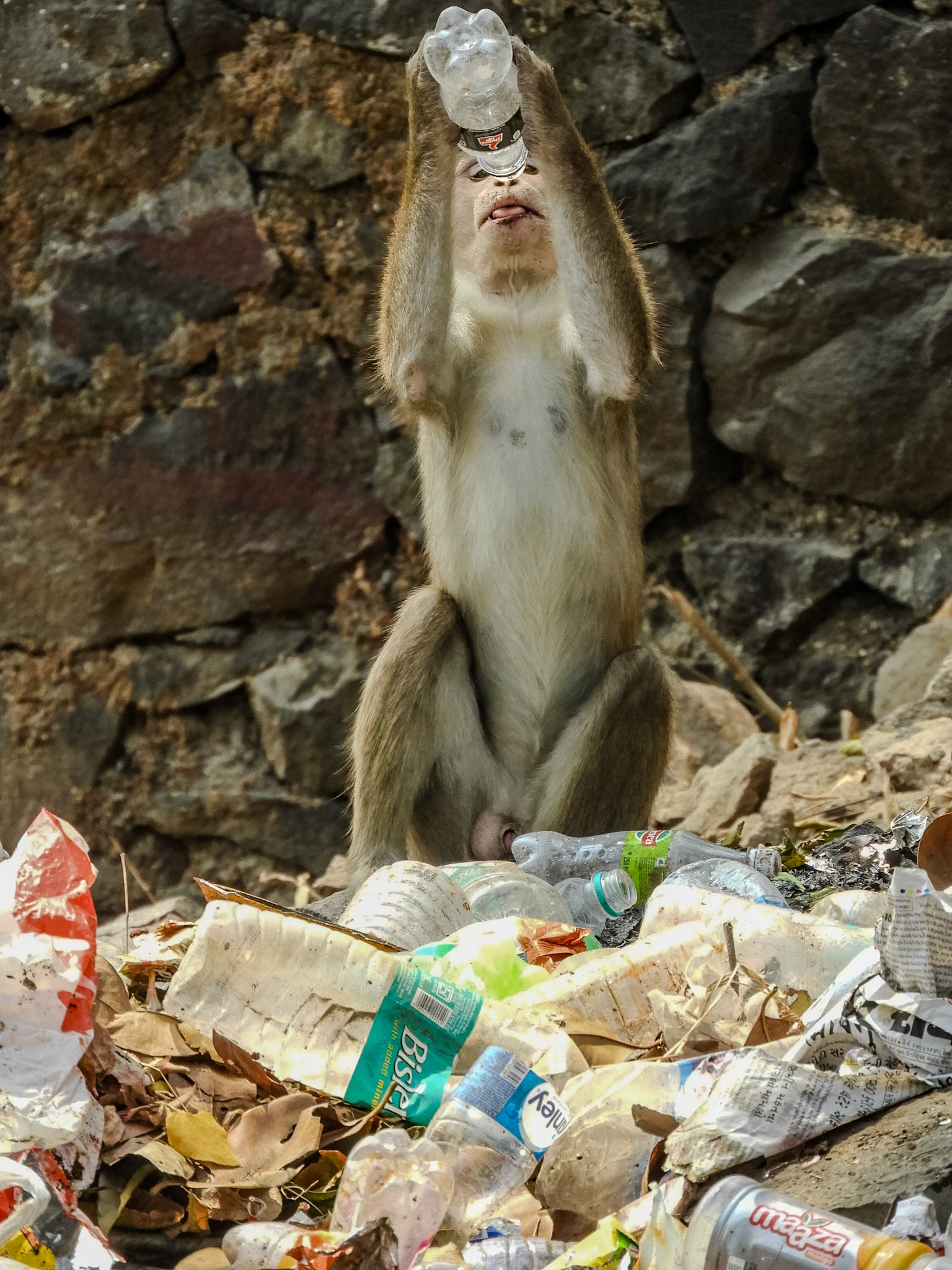 2018-03-03 11:50:09__f/5.6_1/250 sec____