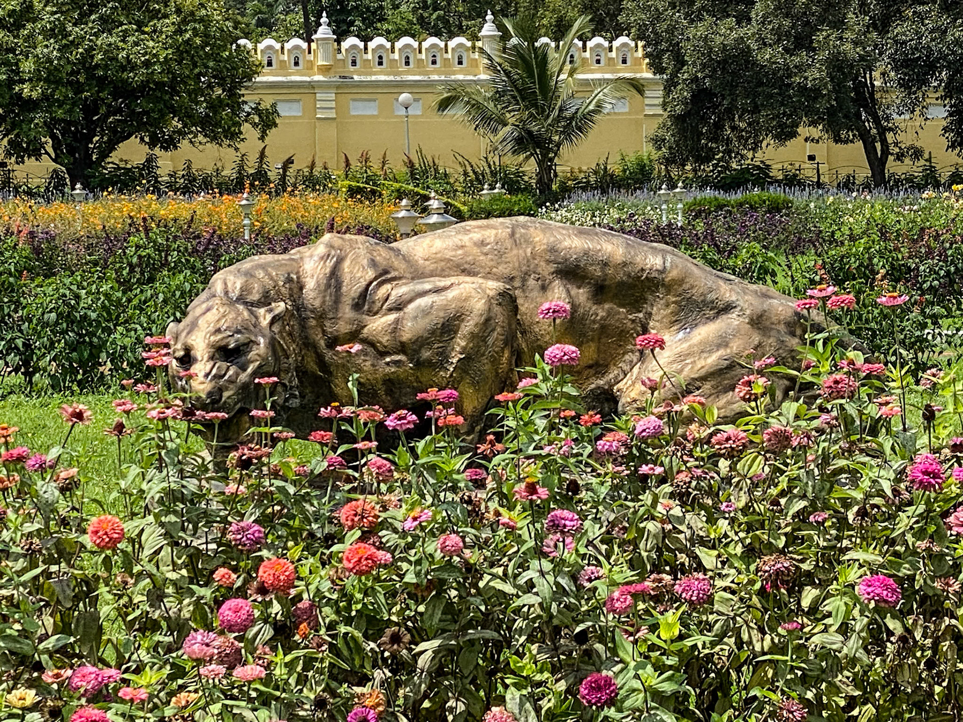 _2022-10-19__iPhone 11 Pro__ iPhone 11 Pro back triple camera 6mm f/2__f/2__1/1600 sec____Mysuru__India___