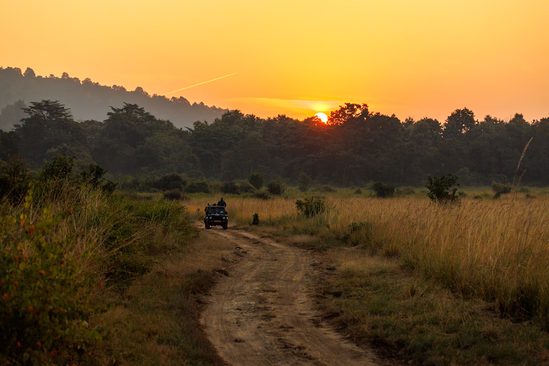 __2025-12-01__Canon__Canon EOS R3__ RF100-500mm F4.5-7.1 L IS USM__f/4.5__1/400 sec____Dhela FRH__India__29°24'52.452" N 78°59'50.7264" E