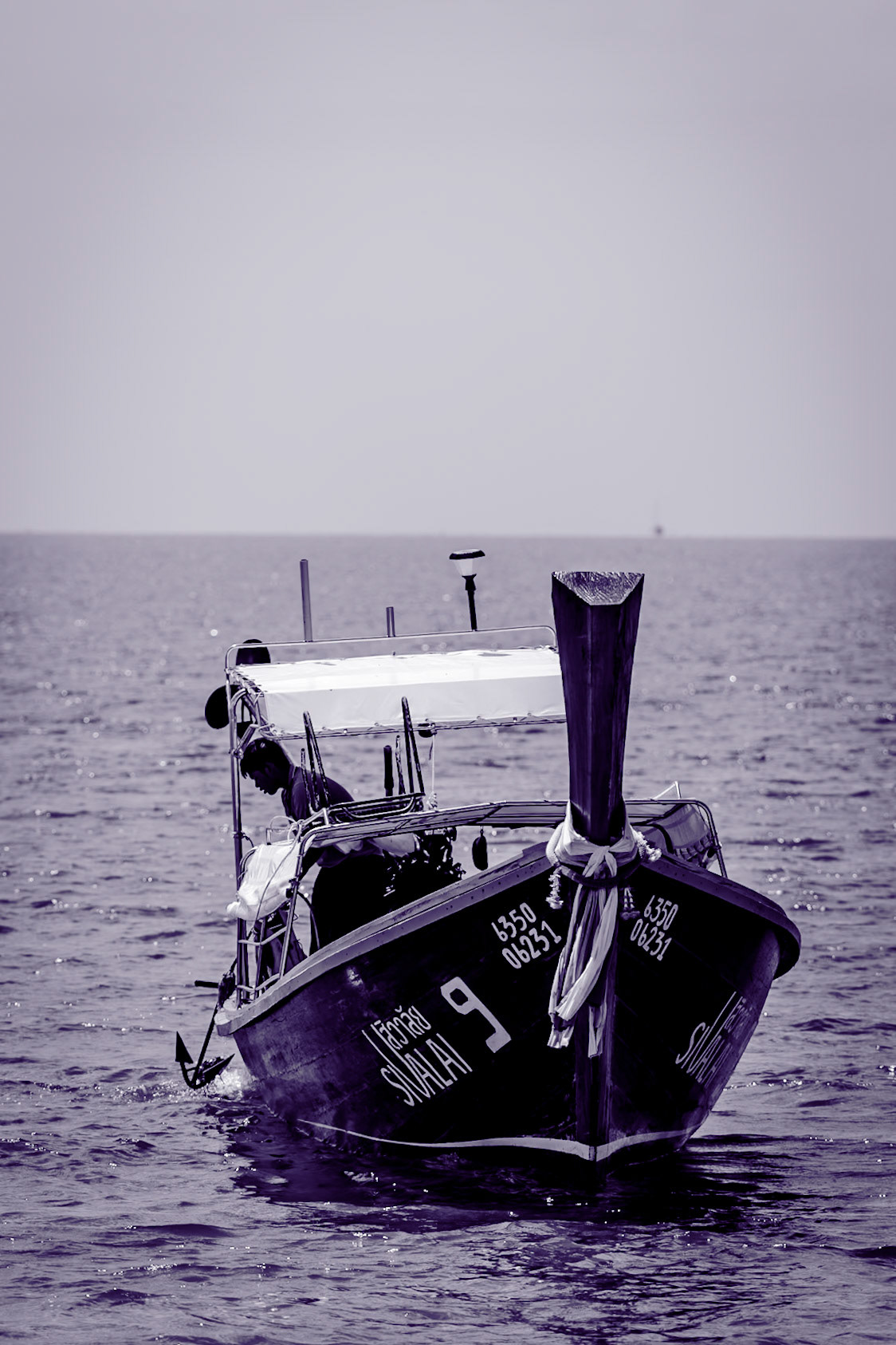 2025-02-21 11:34:08_RF70-200mm F2.8 L IS USM_f/5_1/640 sec____7°22'26.8608" N 99°18'52.74" E