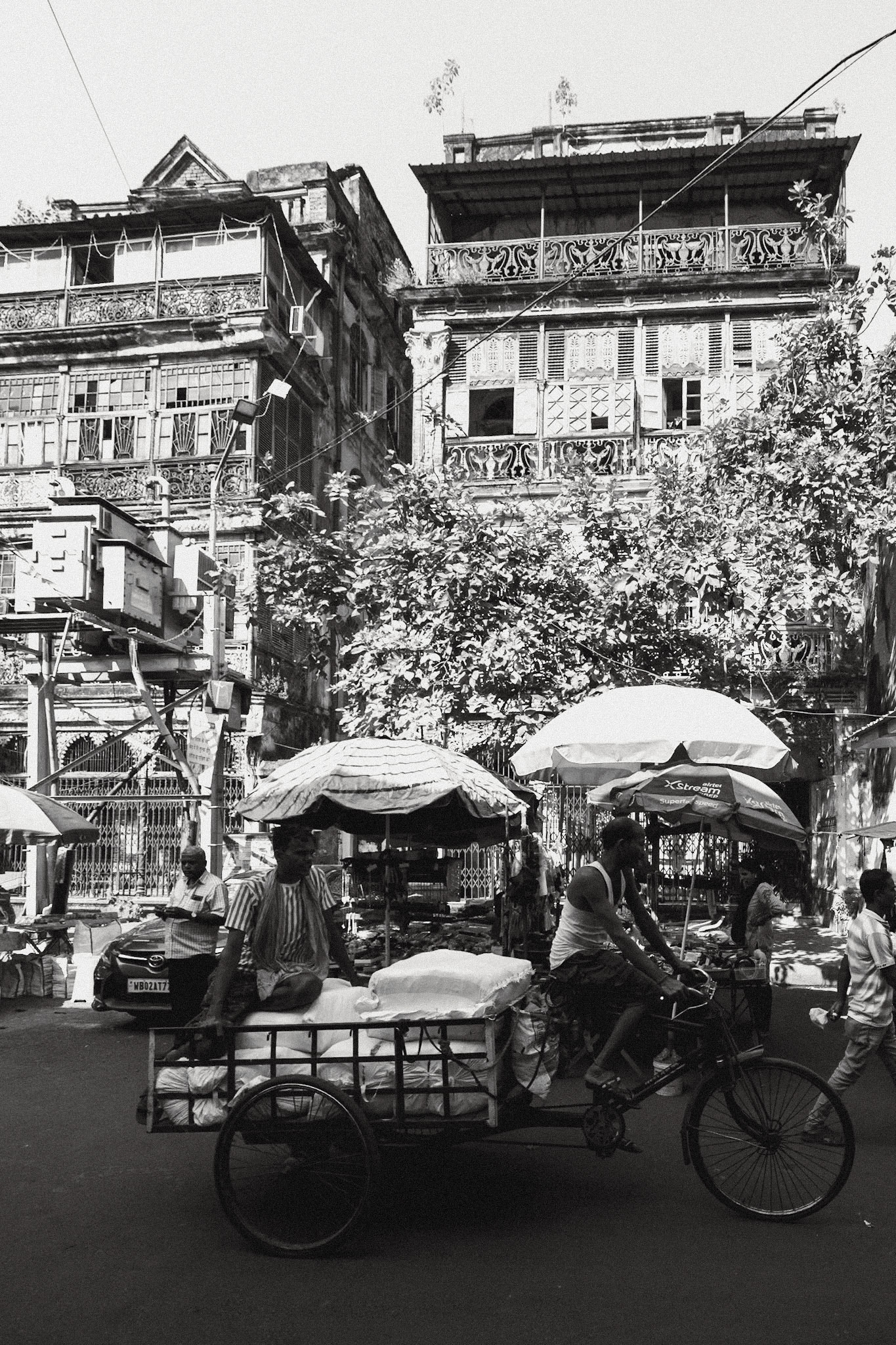 __2025-11-19__Canon__Canon EOS R3__ RF15-35mm F2.8 L IS USM__f/11__1/1000 sec__Rajendra Mullick Lane__Kolkata__India__22°34'58.8792" N 88°21'37.152" E