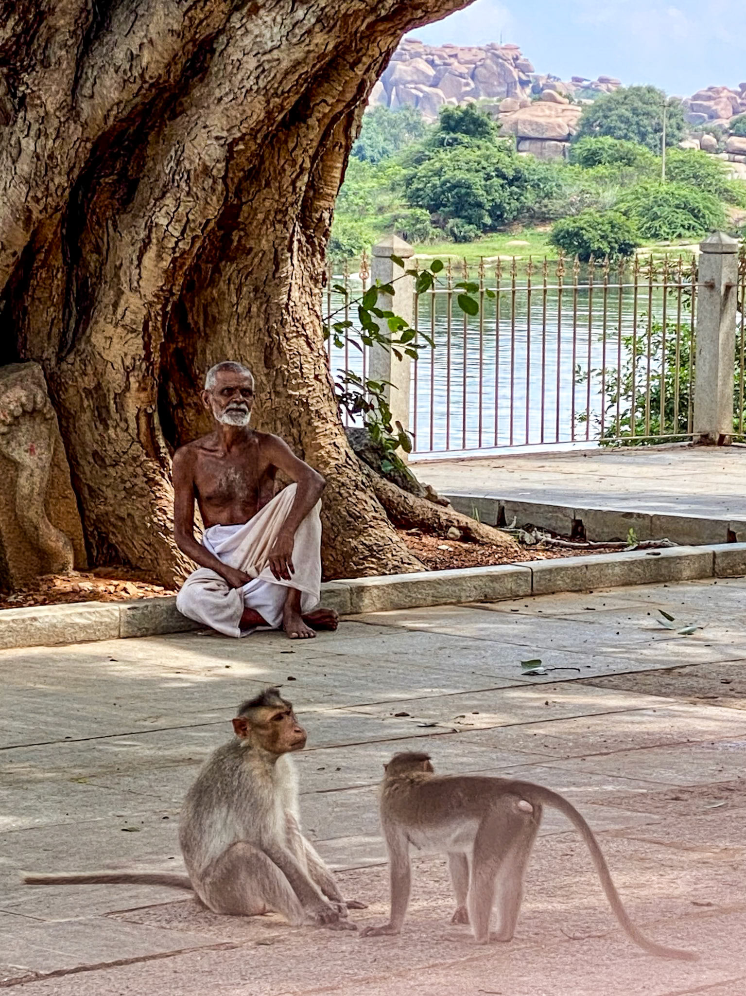 2022-10-14 10:49:15_iPhone 11 Pro back triple camera 6mm f/2_f/2_1/280 sec____Haampi_India_