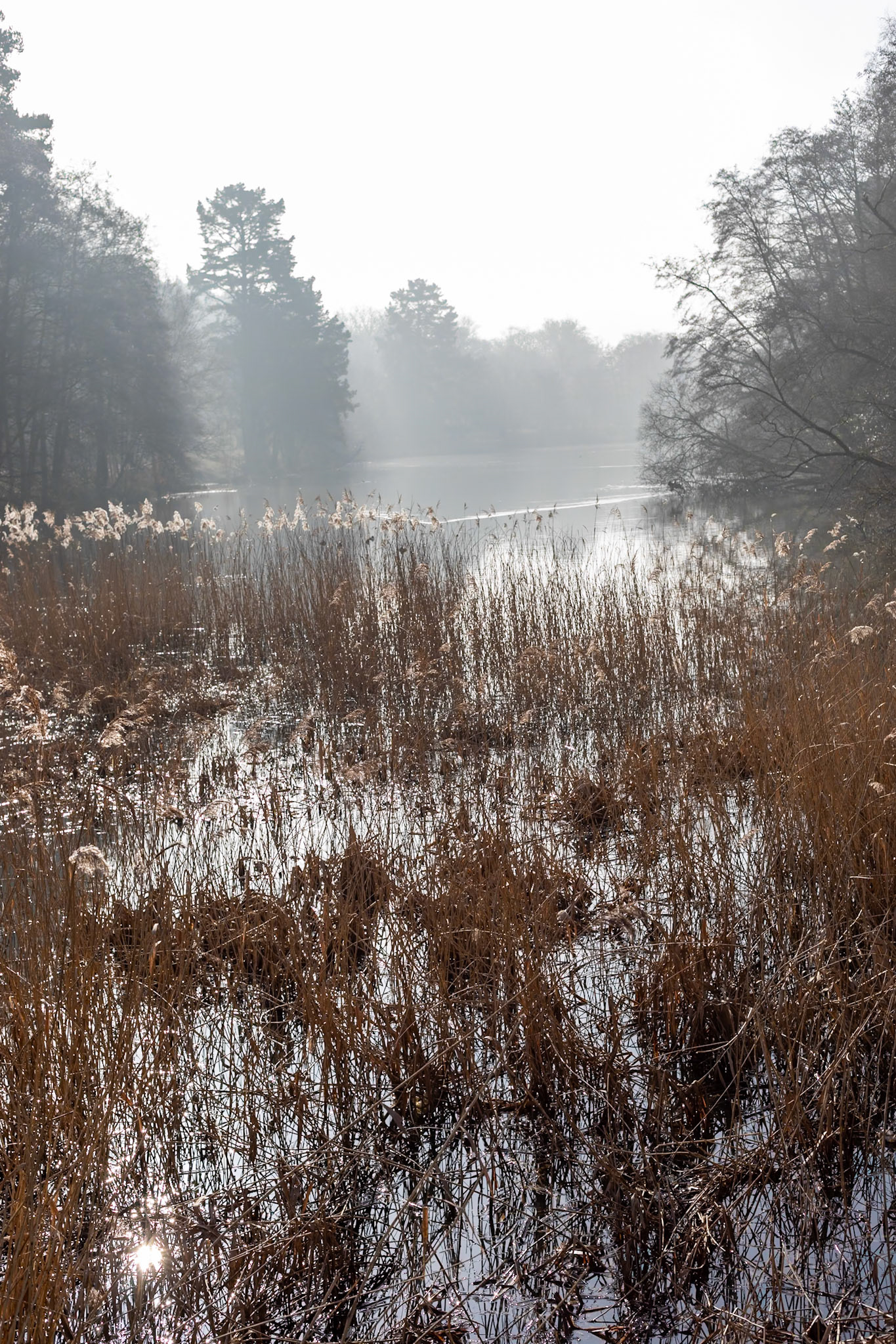 _2023-02-07__Canon__Canon EOS 5D Mark IV__ EF50mm f/1.8 STM__f/7.1__1/250 sec________