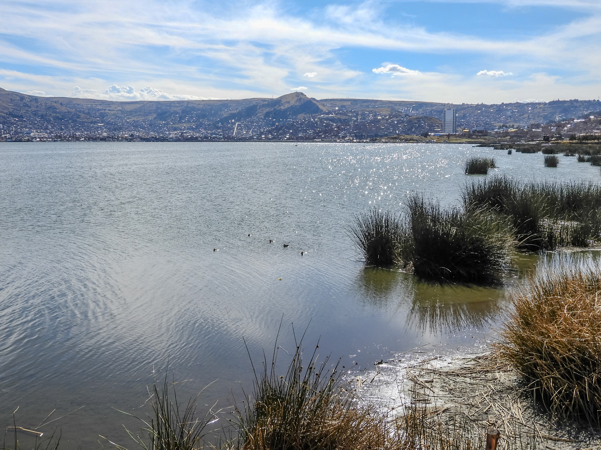 2018-10-30 14:51:45__f/3.8_1/1600 sec_15°49'33.978" S 69°59'49.758" W