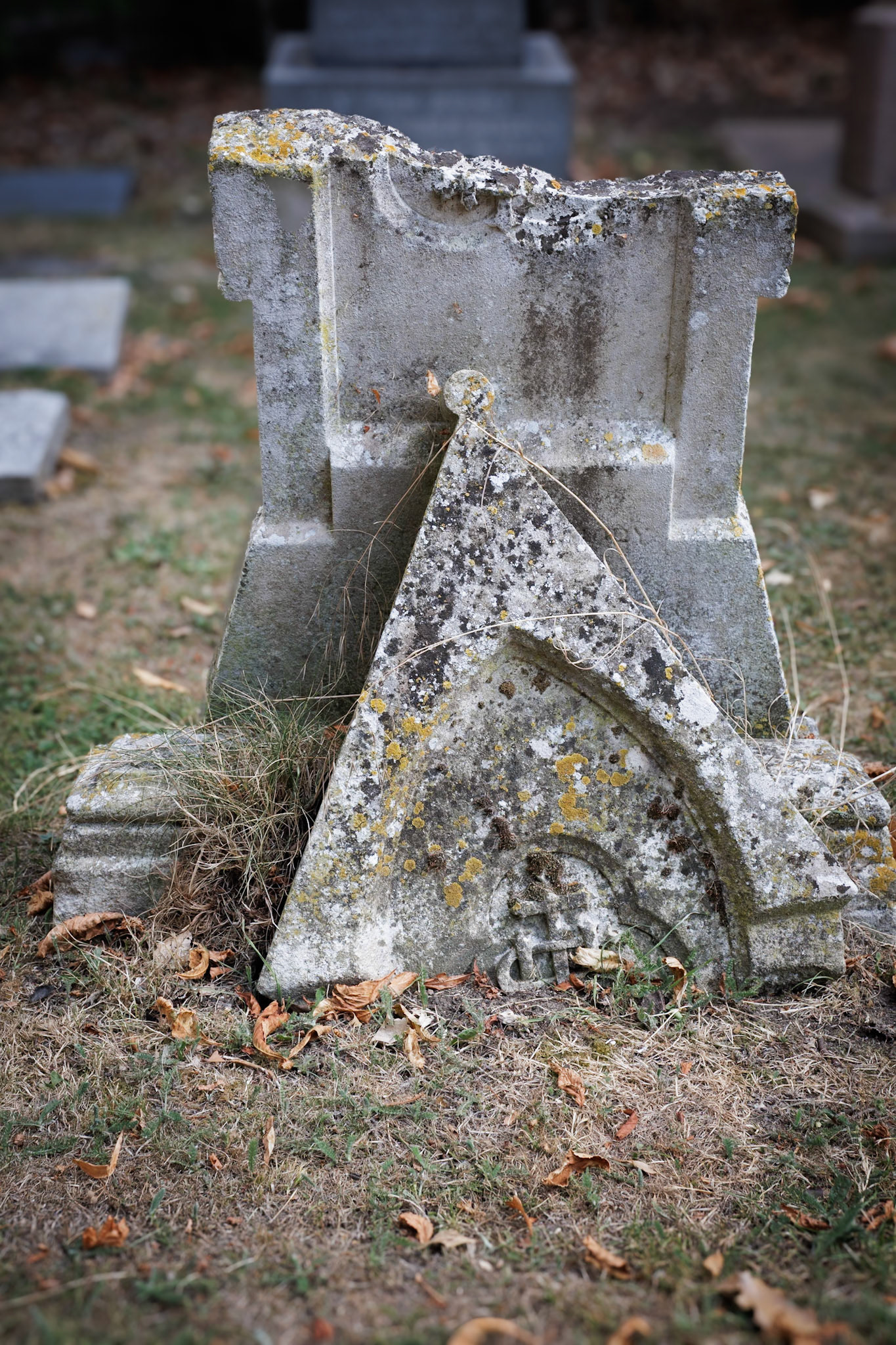 _2025-08-22__Canon__Canon EOS R3__ RF28-70mm F2.8 IS STM__f/8__1/500 sec__St. Andrew's Close__Sunnymeads__England__51°27'20.6136" N 0°33'35.5932" W