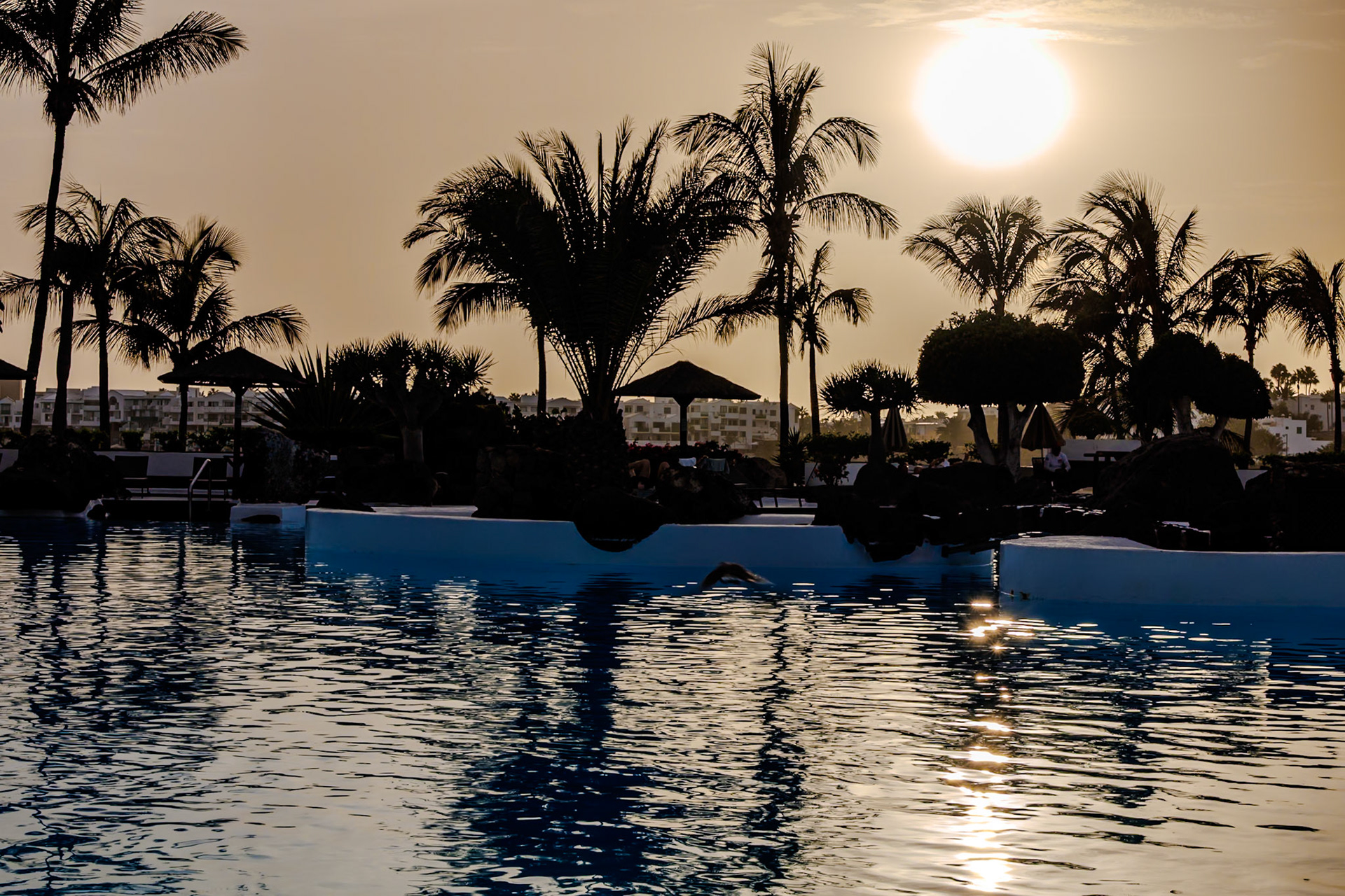 2024-11-28__Canon EOS R3__ RF24-240mm F4-6.3 IS USM__f/22__1/100 sec_________